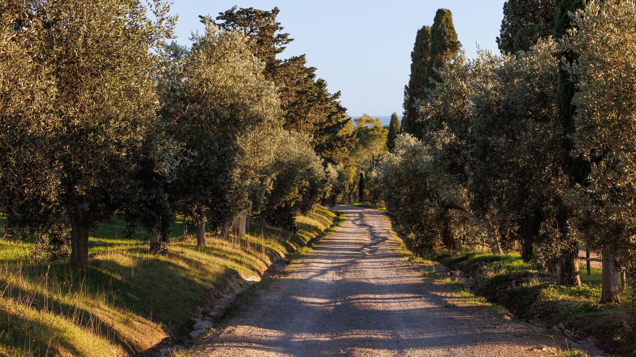 Italianway Capalbio Villa Drusilla by Elite Villas