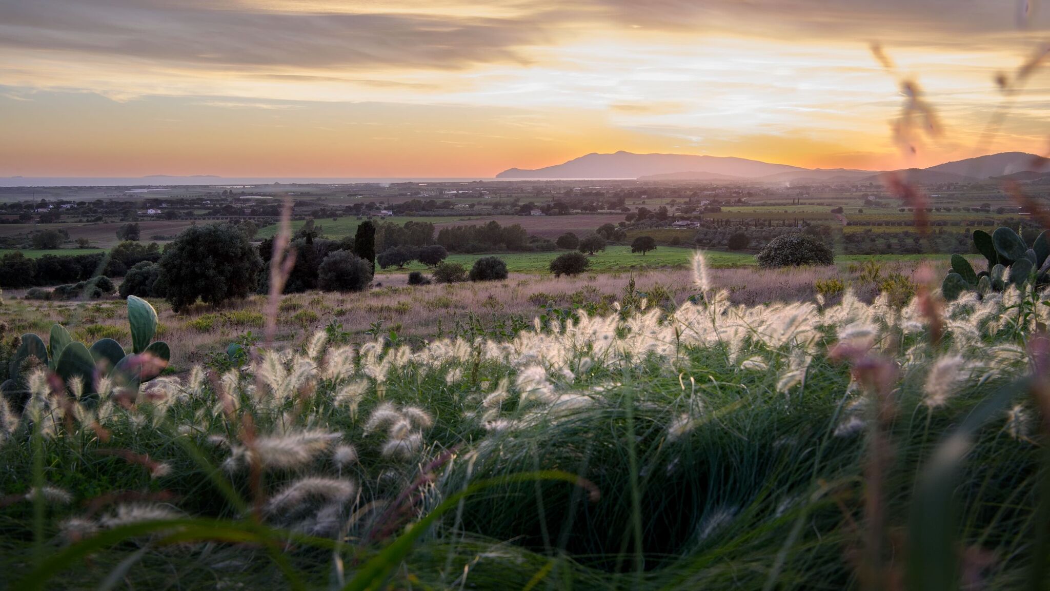 Italianway Capalbio Villa Drusilla by Elite Villas