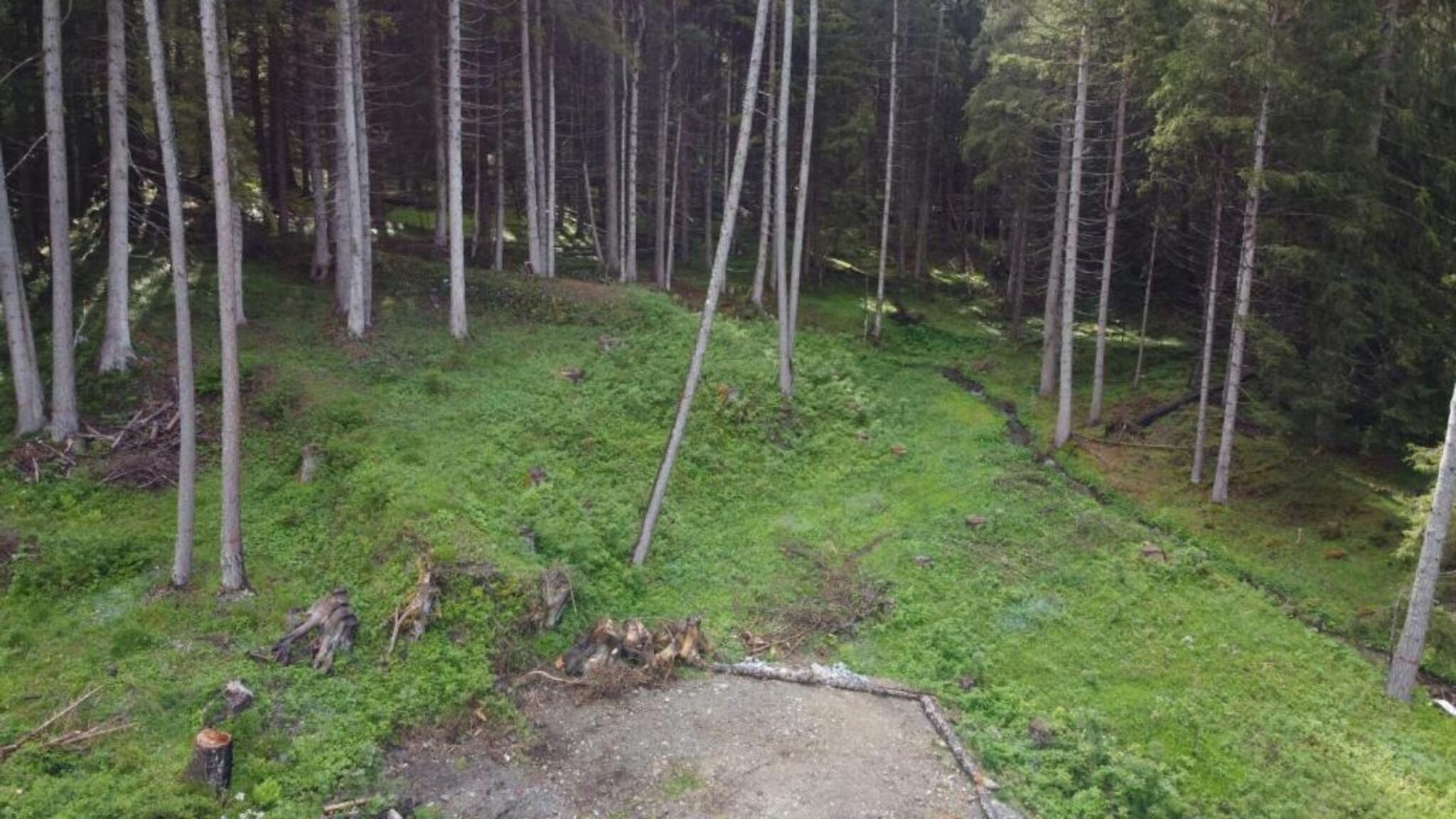 AC Gestione Alloggi Ponte di Legno Chalet Sozzine