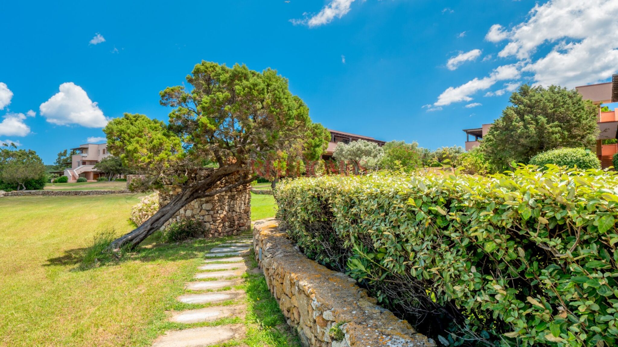 REBhomes Olbia Punta Asfodeli