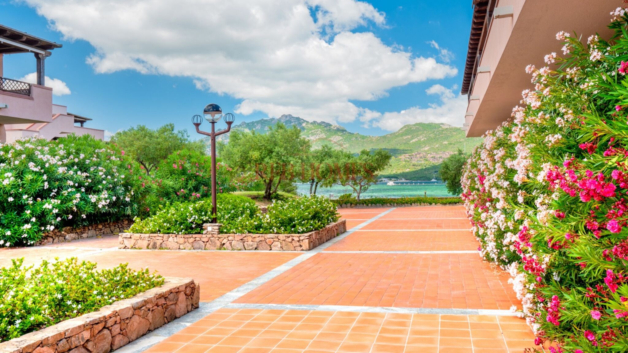 REBhomes Olbia Punta Asfodeli