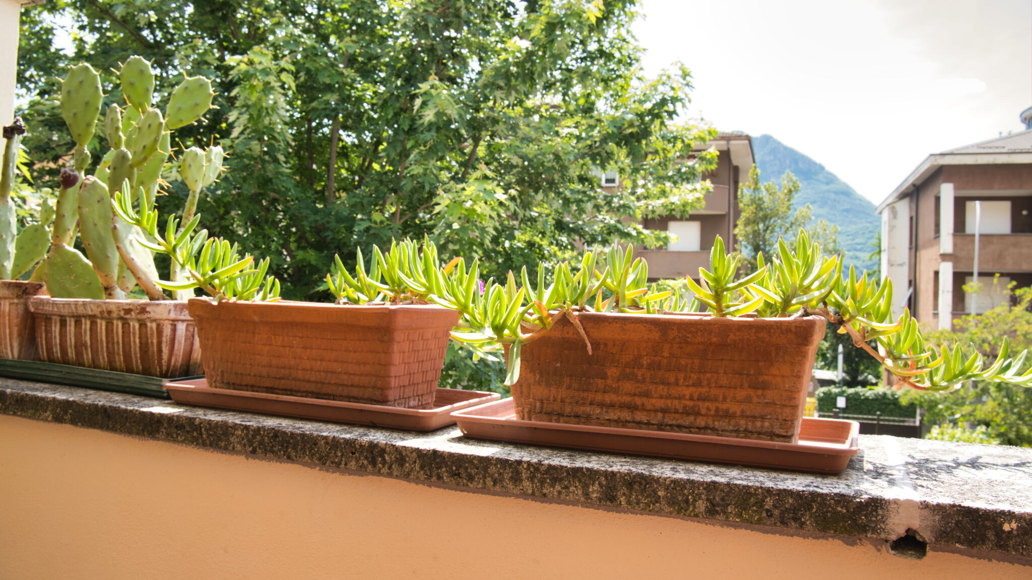 Italianway Lecco Unika House – Lecco Nest with Green Terrace