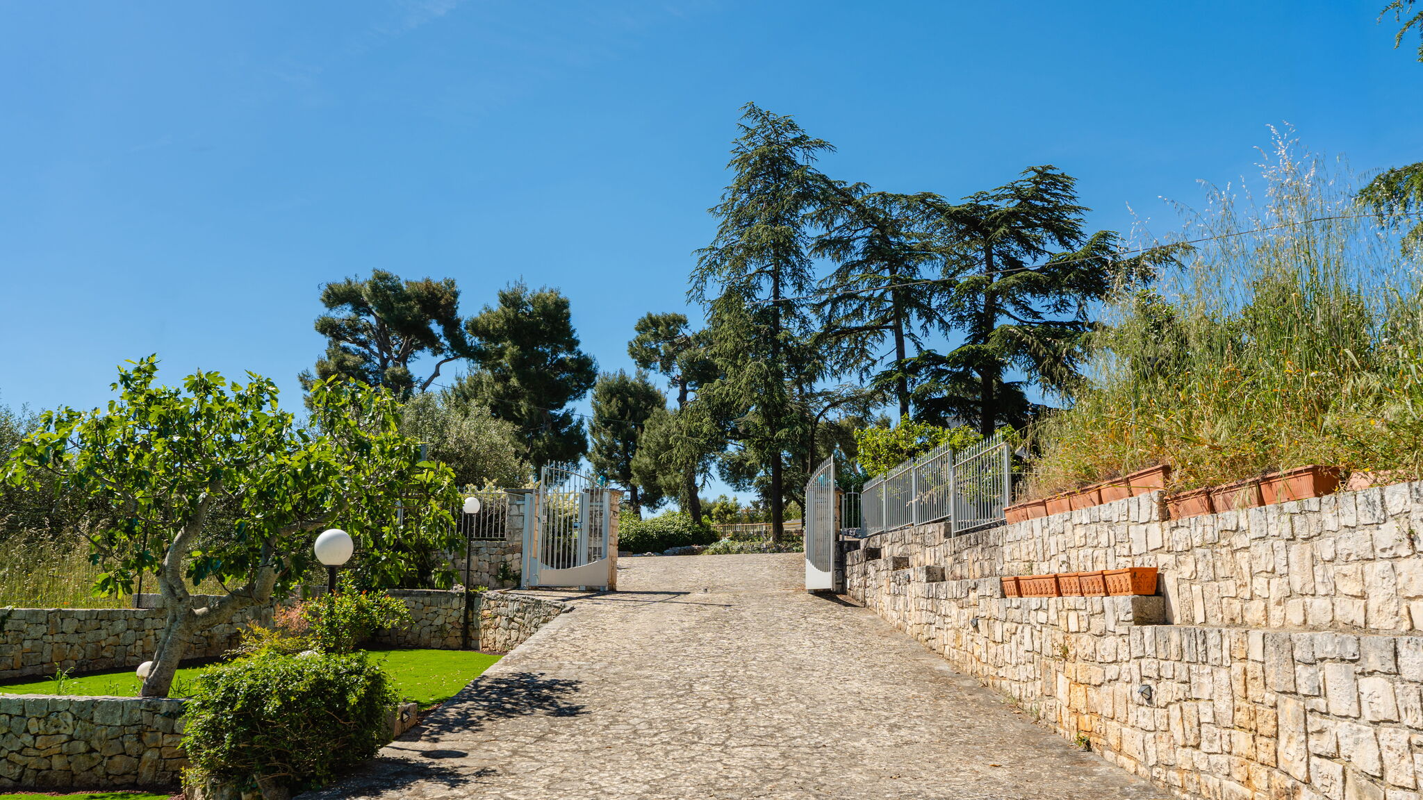 MONHOLIDAY - ospitalità e servizi per il turismo Monopoli Trulli Valeria by Monholiday