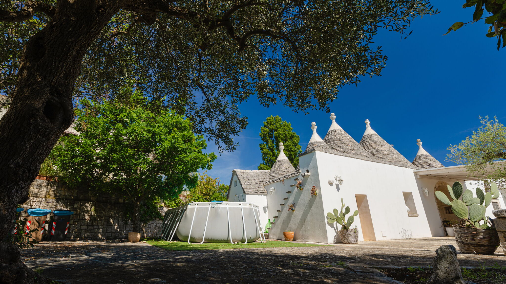 MONHOLIDAY - ospitalità e servizi per il turismo Monopoli Trulli Valeria by Monholiday