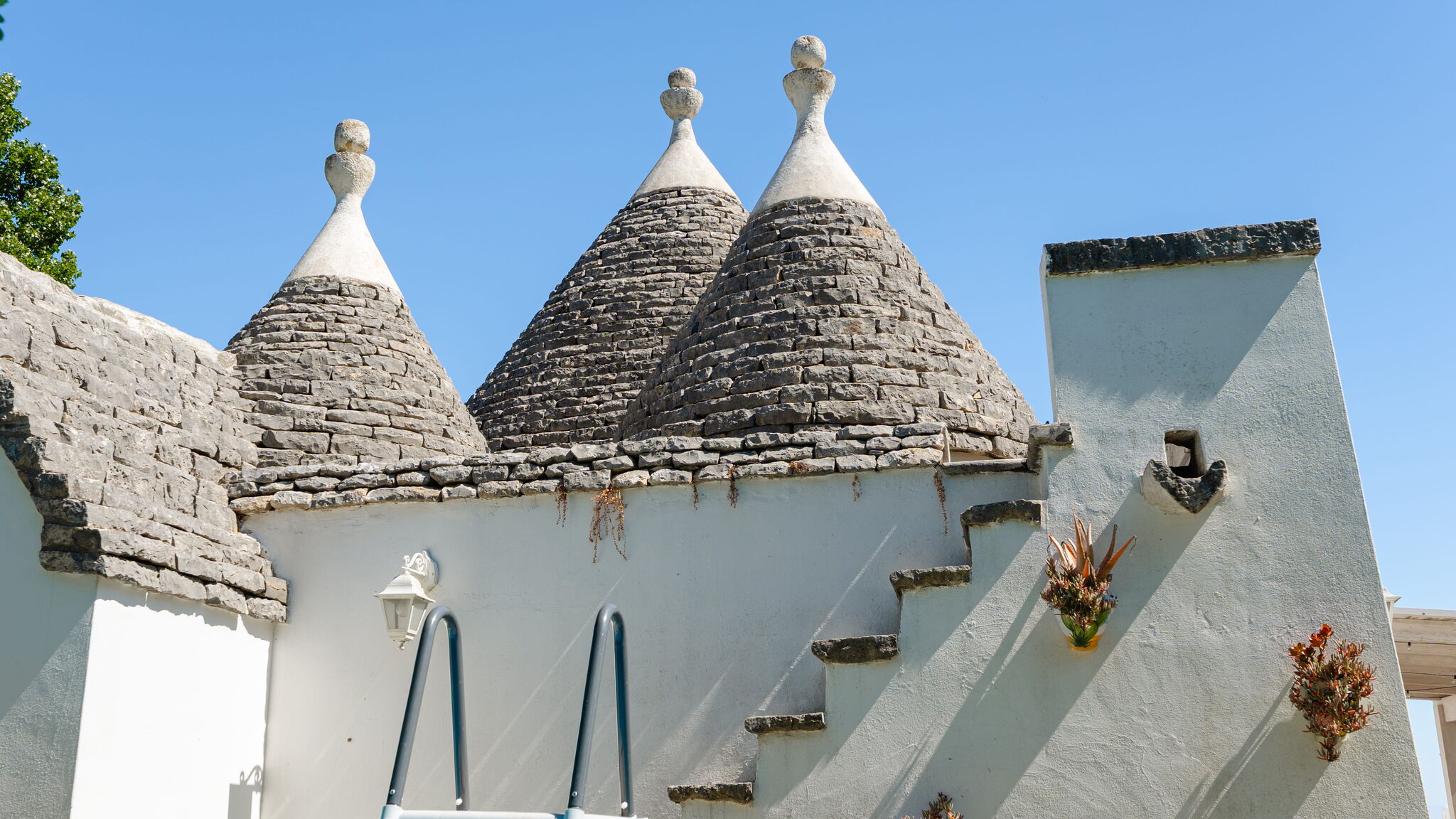 MONHOLIDAY - ospitalità e servizi per il turismo Monopoli Trulli Valeria by Monholiday