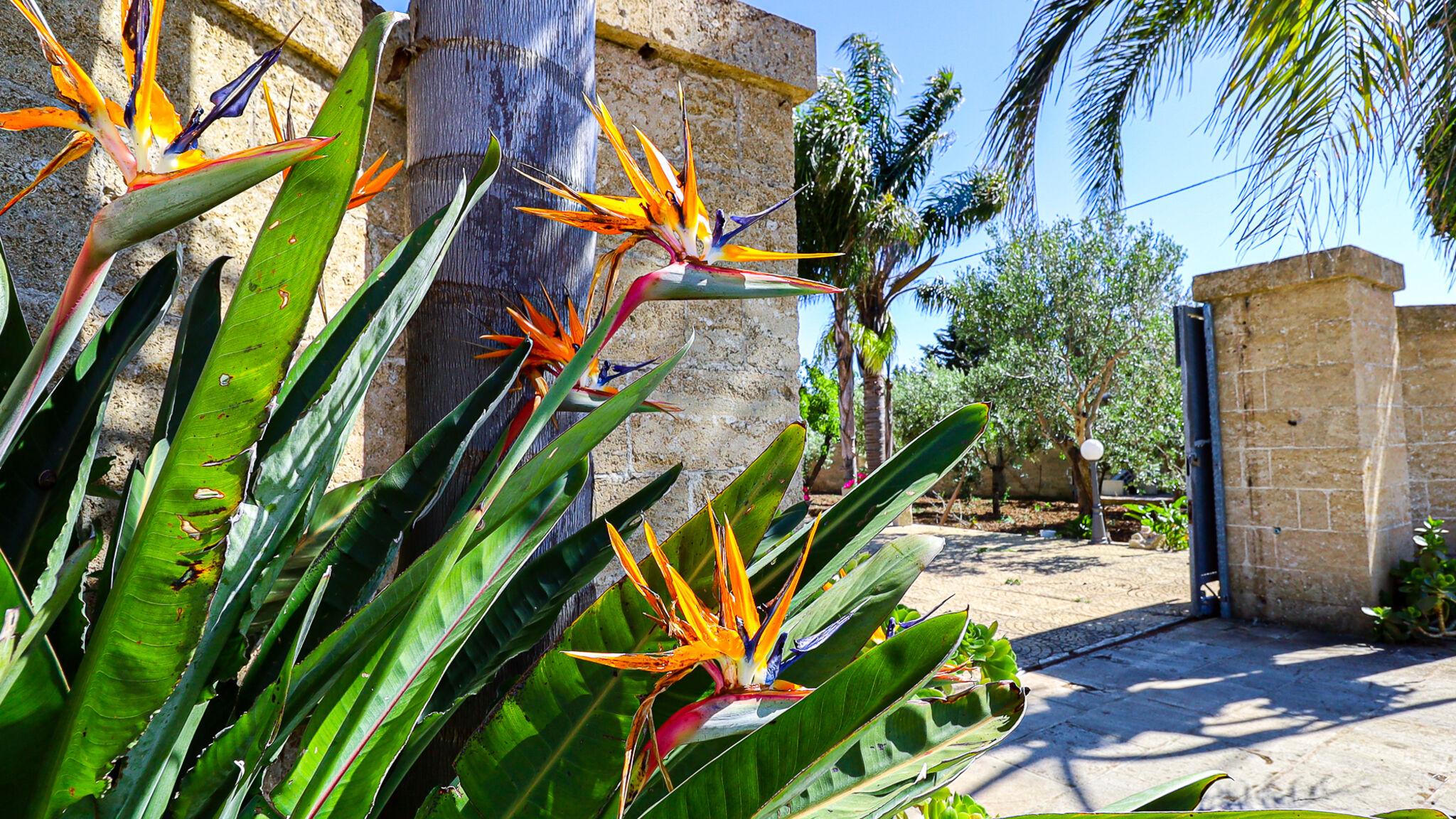 Italianway Matino Il Giardino di Teresa by Casa di Marco