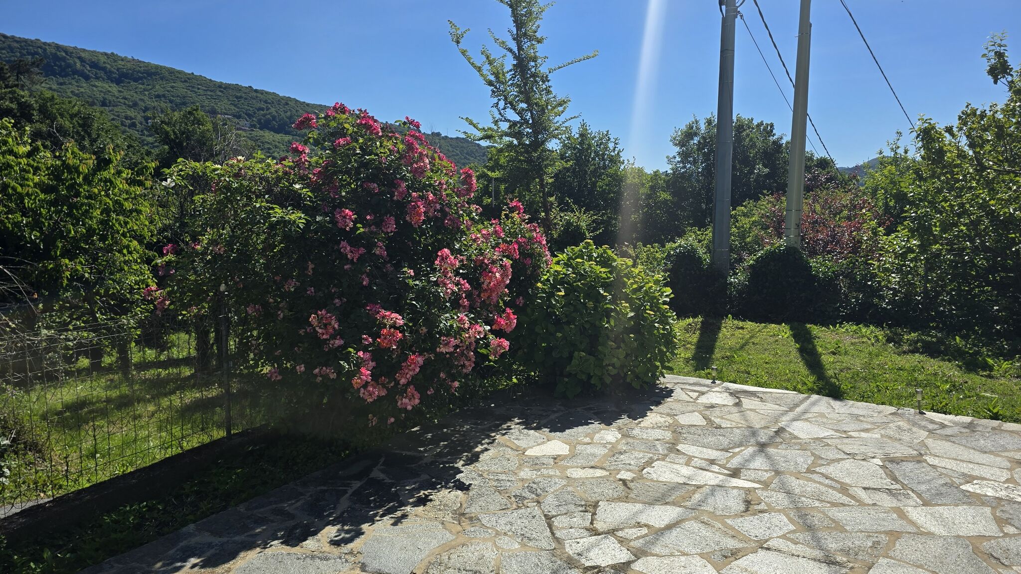 Italianway Stella Barelin - Affitti brevi Liguria