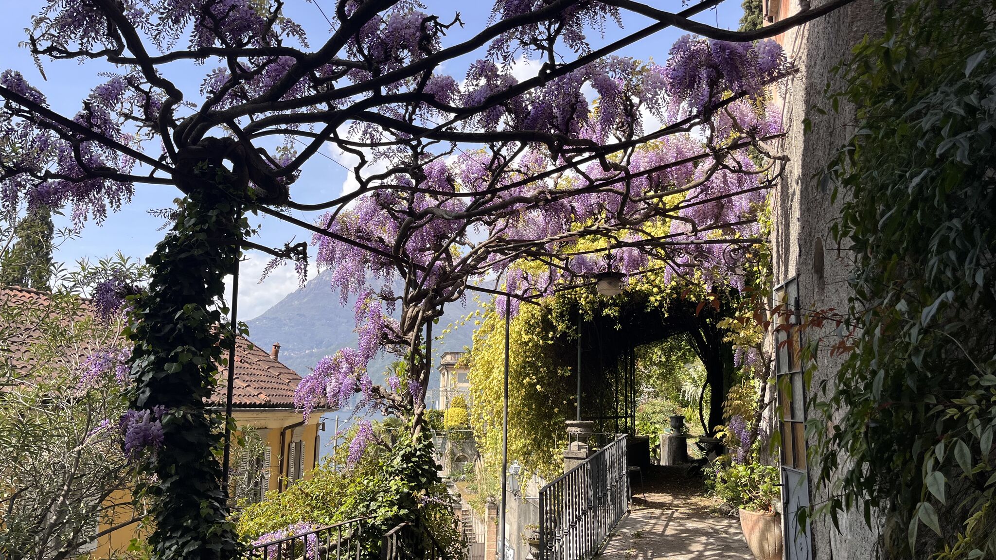 Varenna Lake Como Experience Varenna Villa Albertina