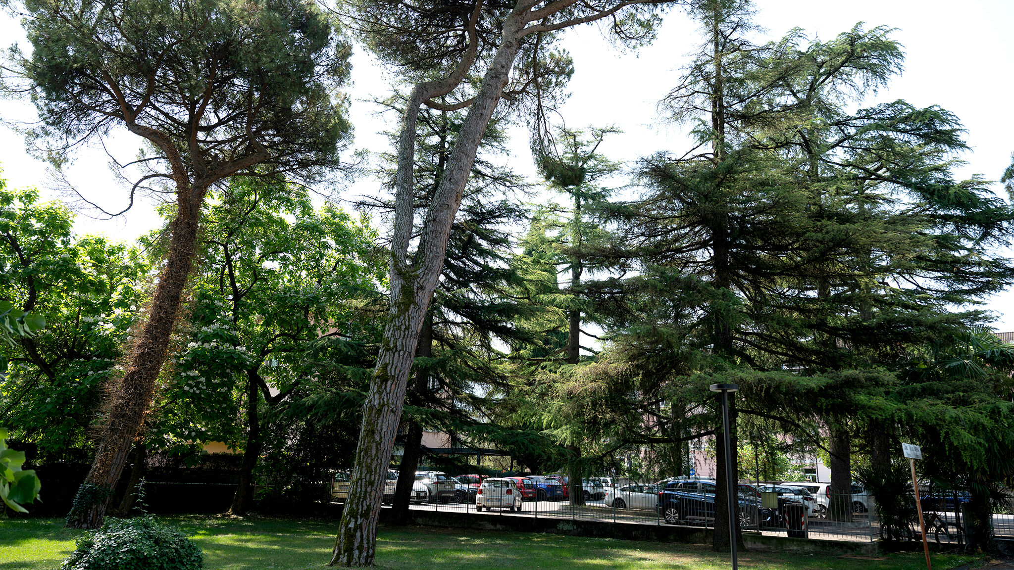 Italianway Arco Arco Park View By Immobilux