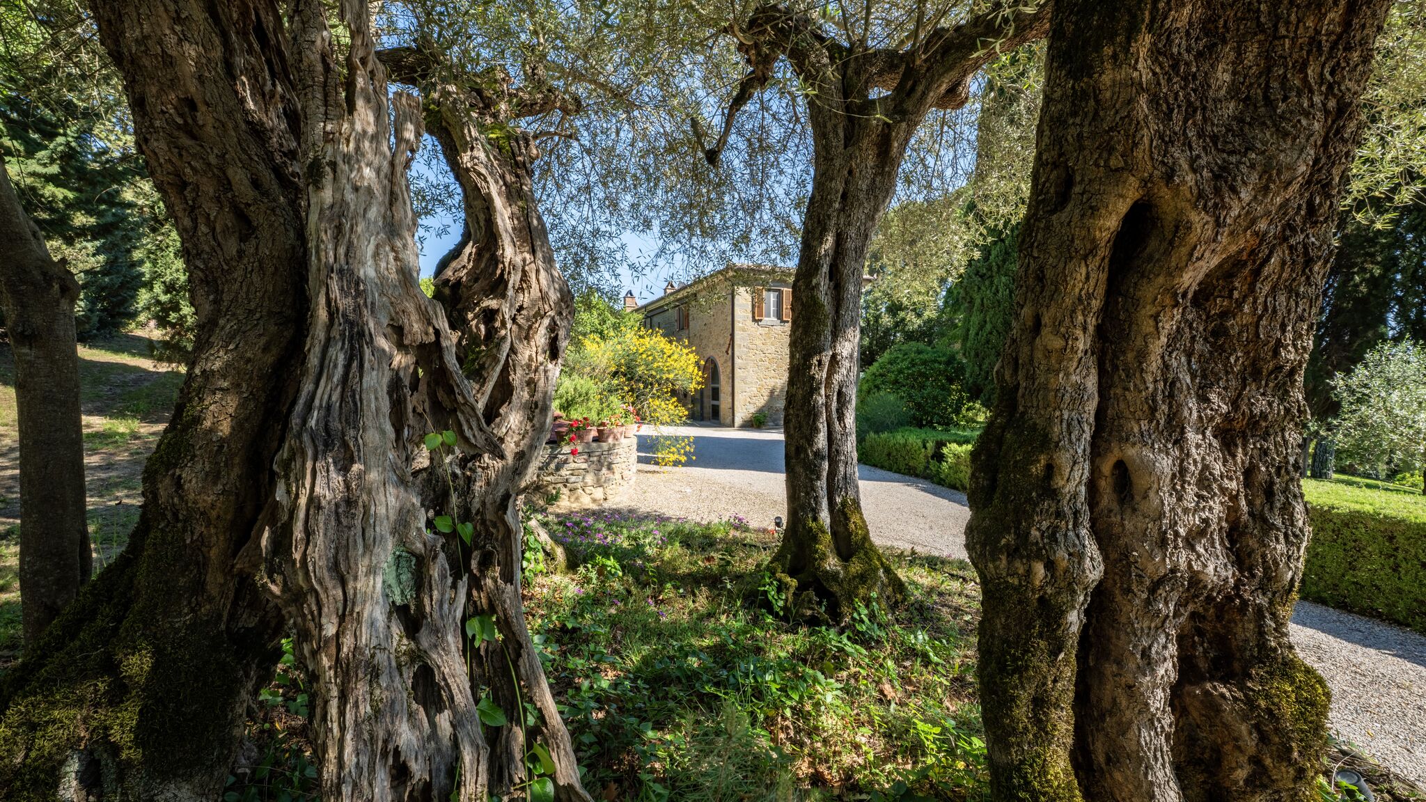 Italianway Cortona Tenuta Sagherina 8