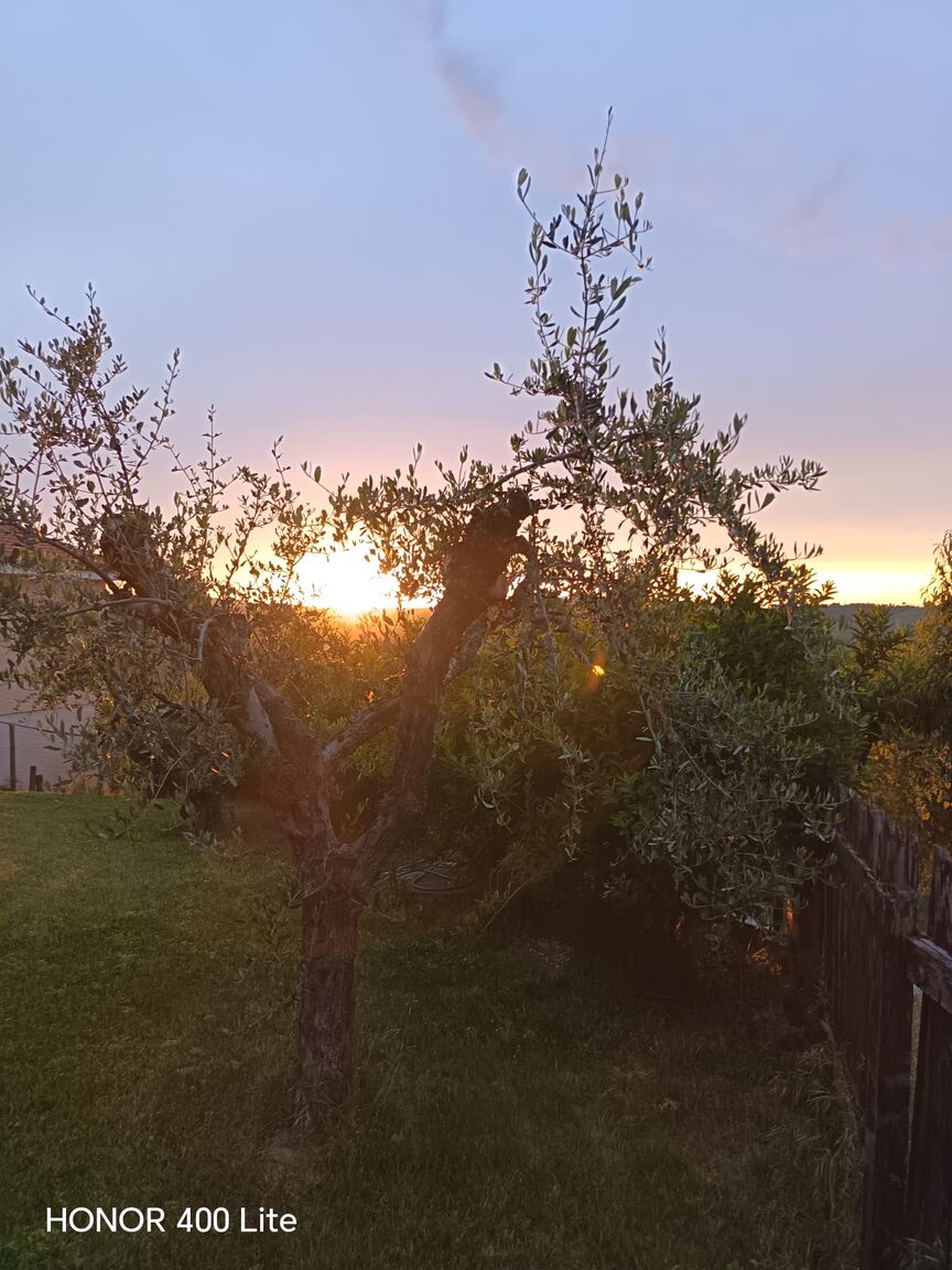 Italianway Coriano Casa Antonella b&b Camera Verde