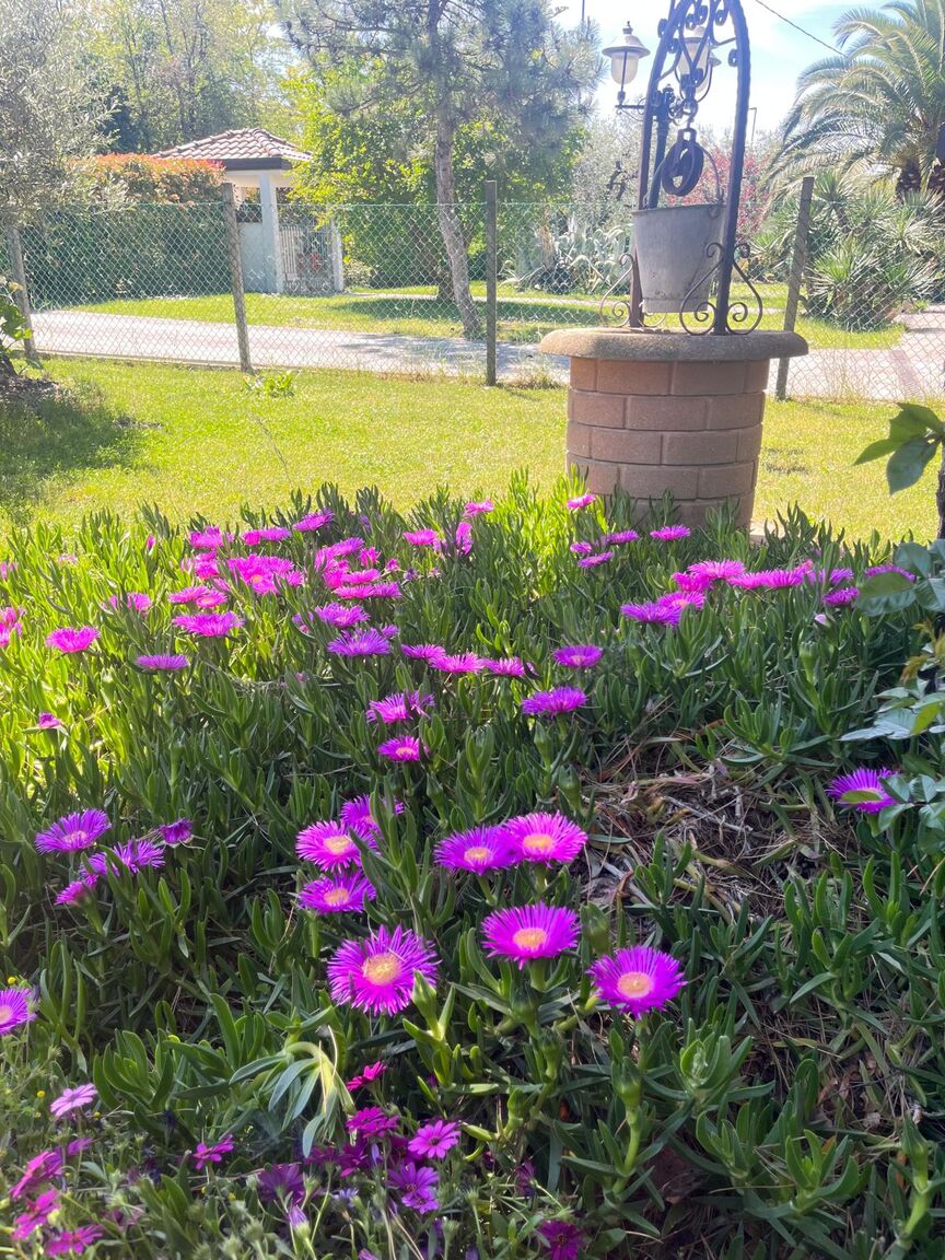 Italianway Coriano Casa Antonella b&b Camera Verde