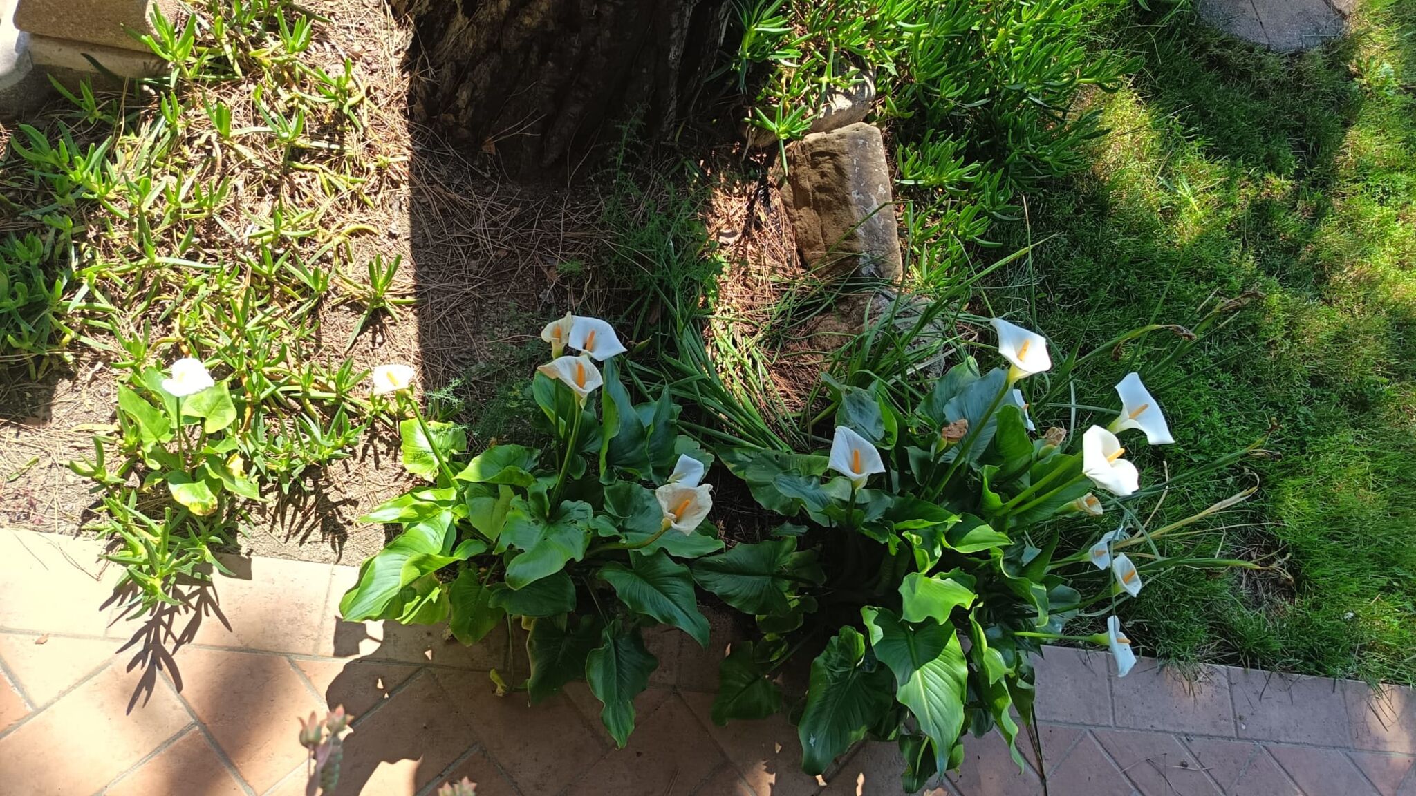 Italianway Coriano Casa Antonella b&b Camera Verde