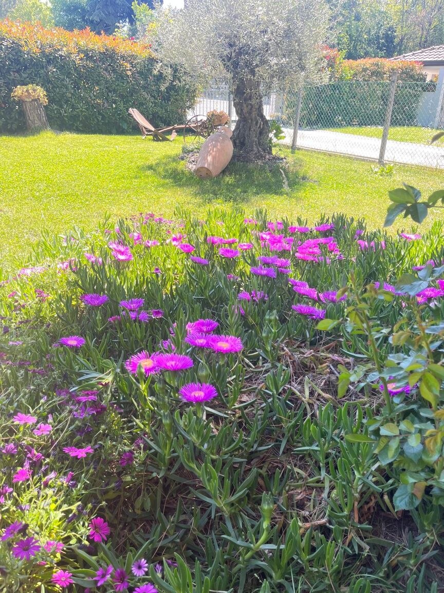 Italianway Coriano Casa Antonella b&b Camera Verde