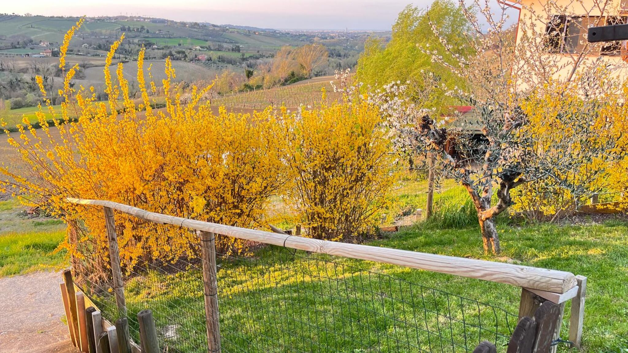 Italianway Coriano Casa Antonella b&b Camera Verde