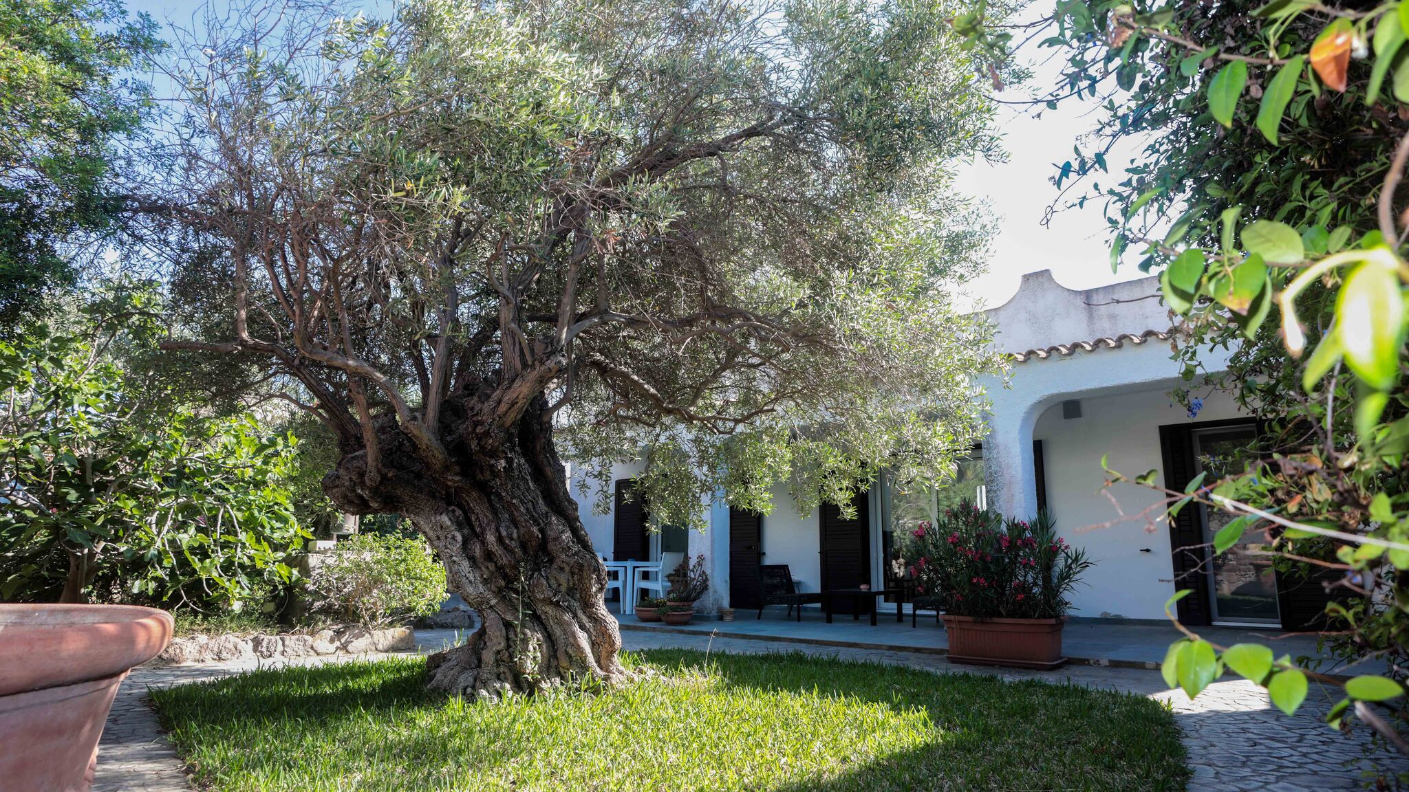 Italianway Calasetta Luxury Beachfront Villa Kaleidos