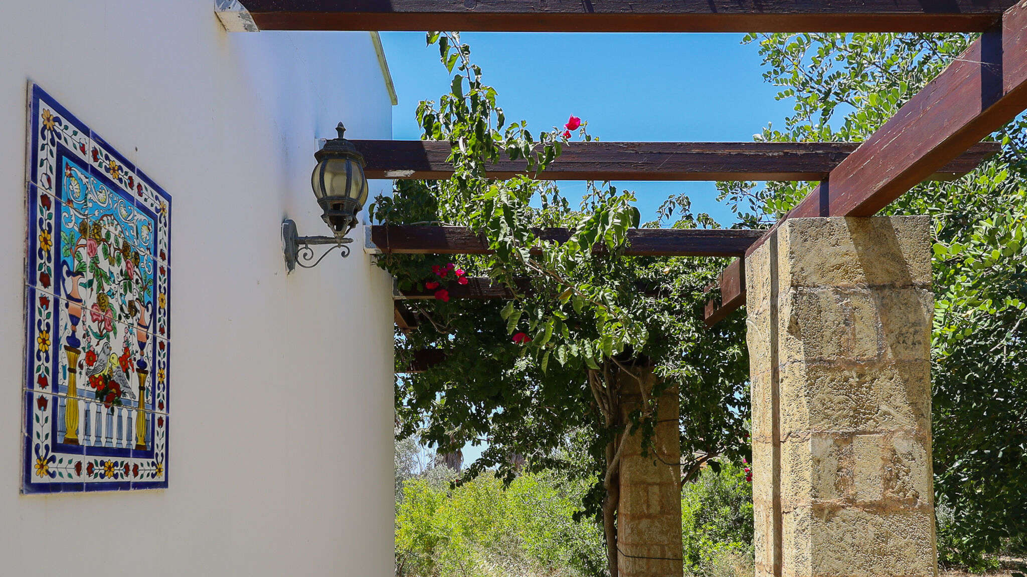 Italianway Gallipoli Uva Regina by Casa di Marco