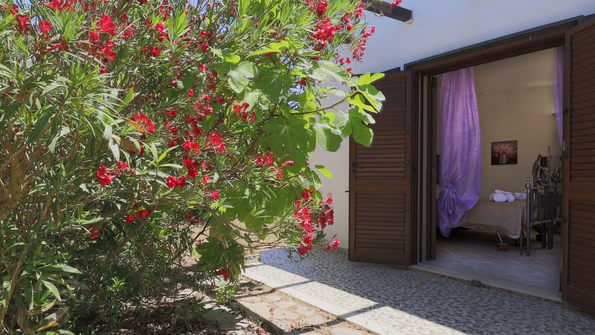 Italianway Gallipoli Uva Regina by Casa di Marco
