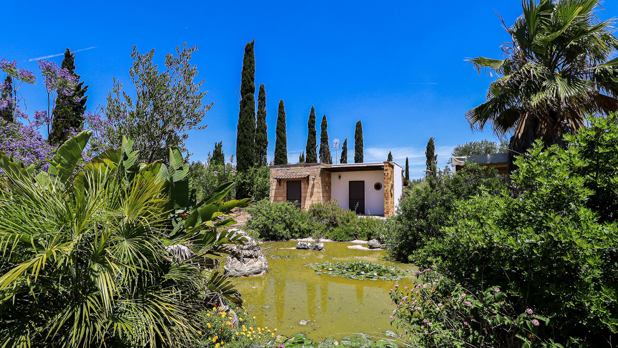 Italianway Gallipoli Uva Regina by Casa di Marco