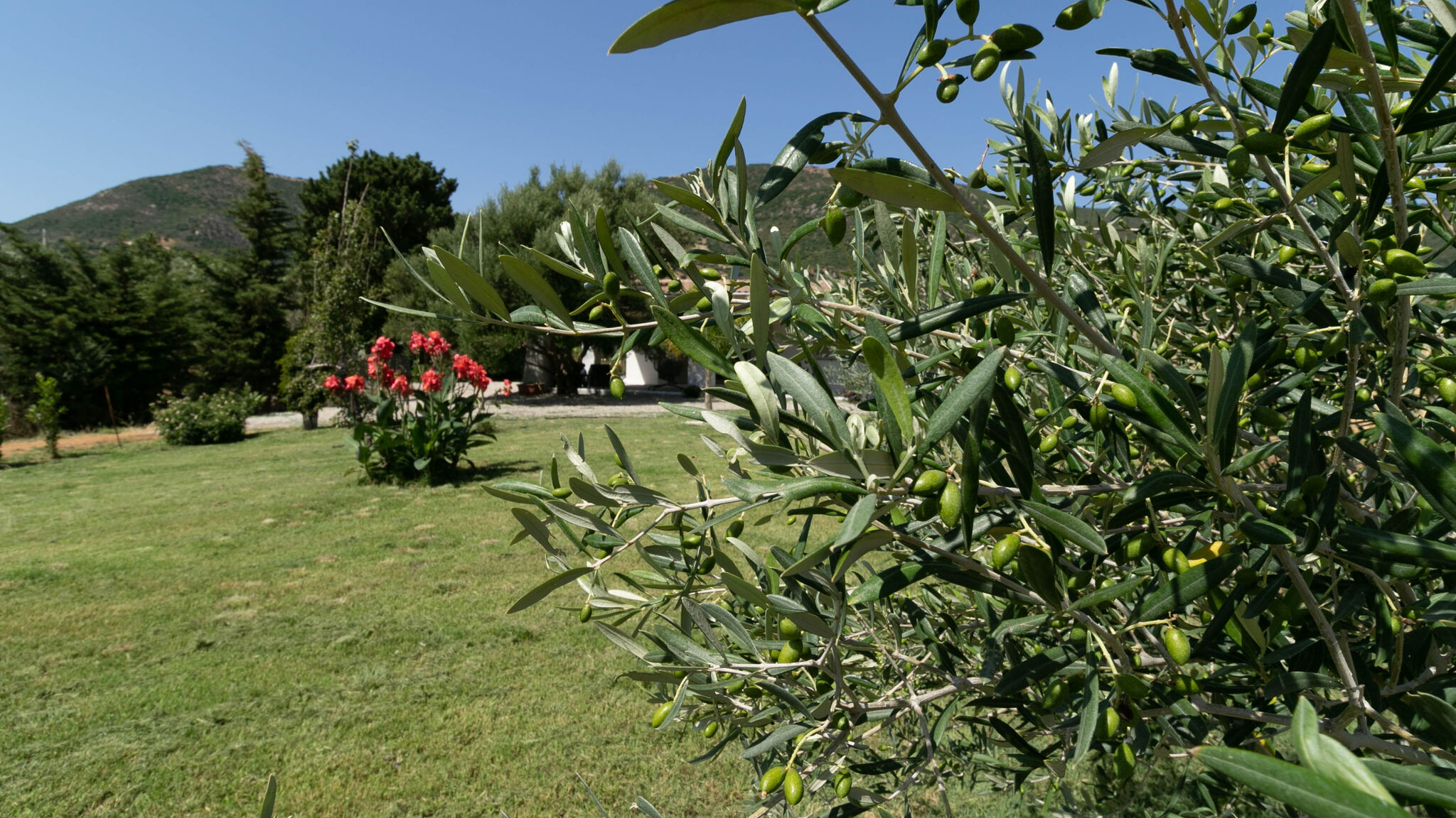Italianway Tertenia Villa Su Entu | with Garden close to the beach