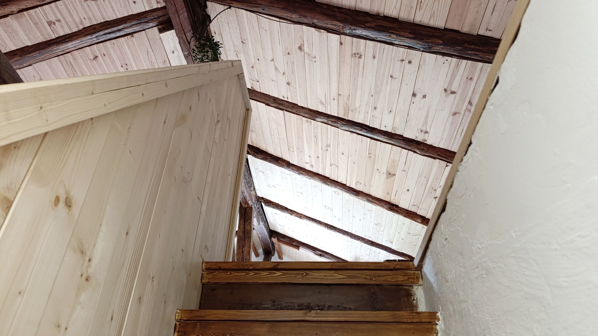 Italianway Borca di Cadore Antelao & Pelmo Apartments by Casa Check