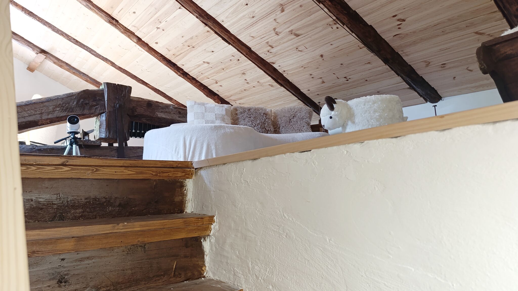 Italianway Borca di Cadore Antelao & Pelmo Apartments by Casa Check