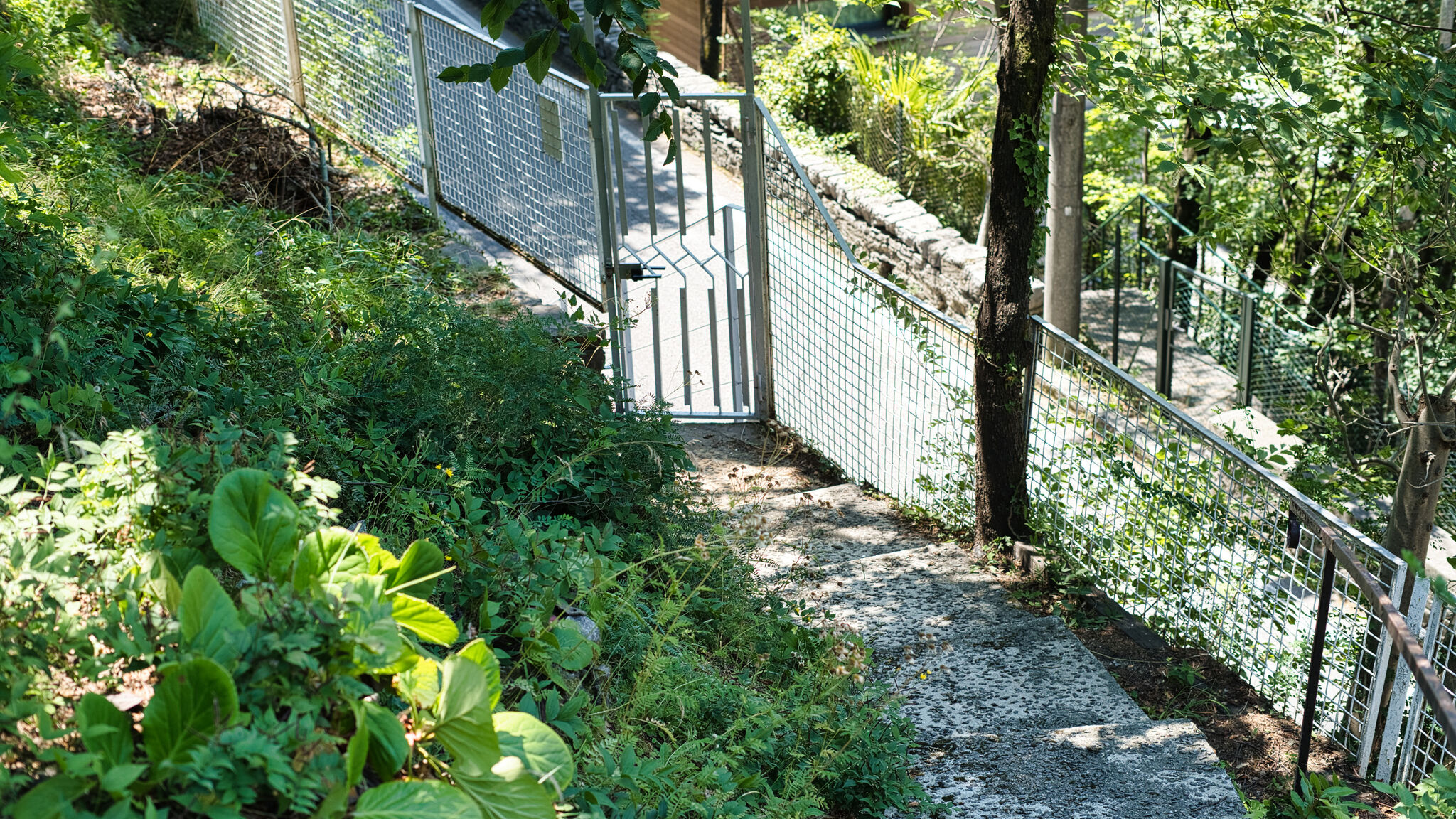Nativoo Perledo Villa Varenna - Terrazza sul Lago
