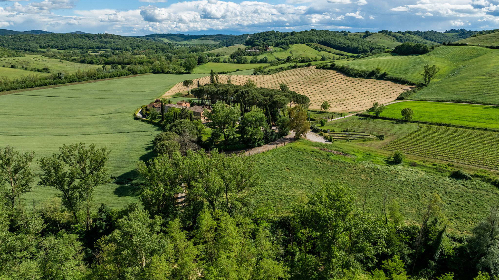 Italianway Asciano Podere Bellaria 18+2