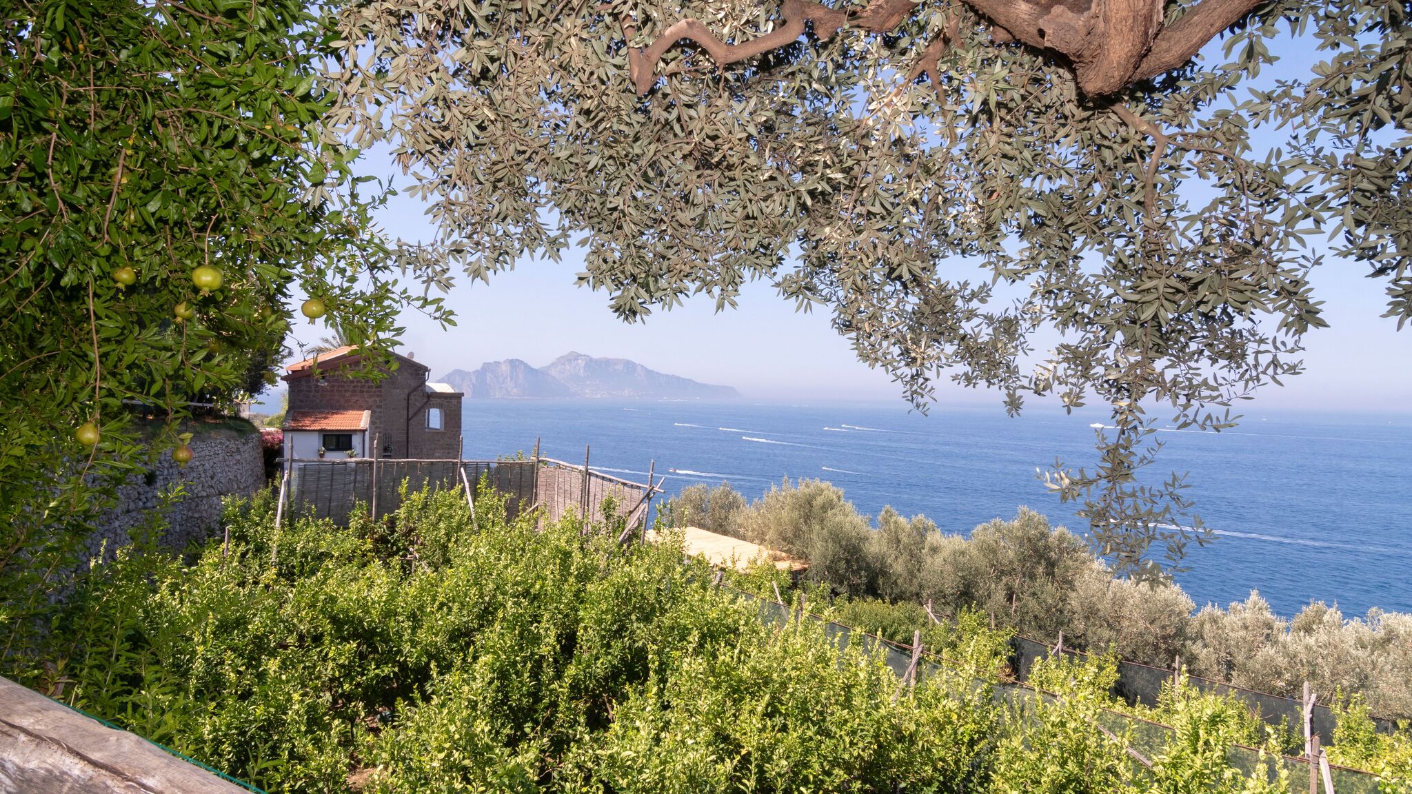 Italianway Massa Lubrense Vitamin Sea