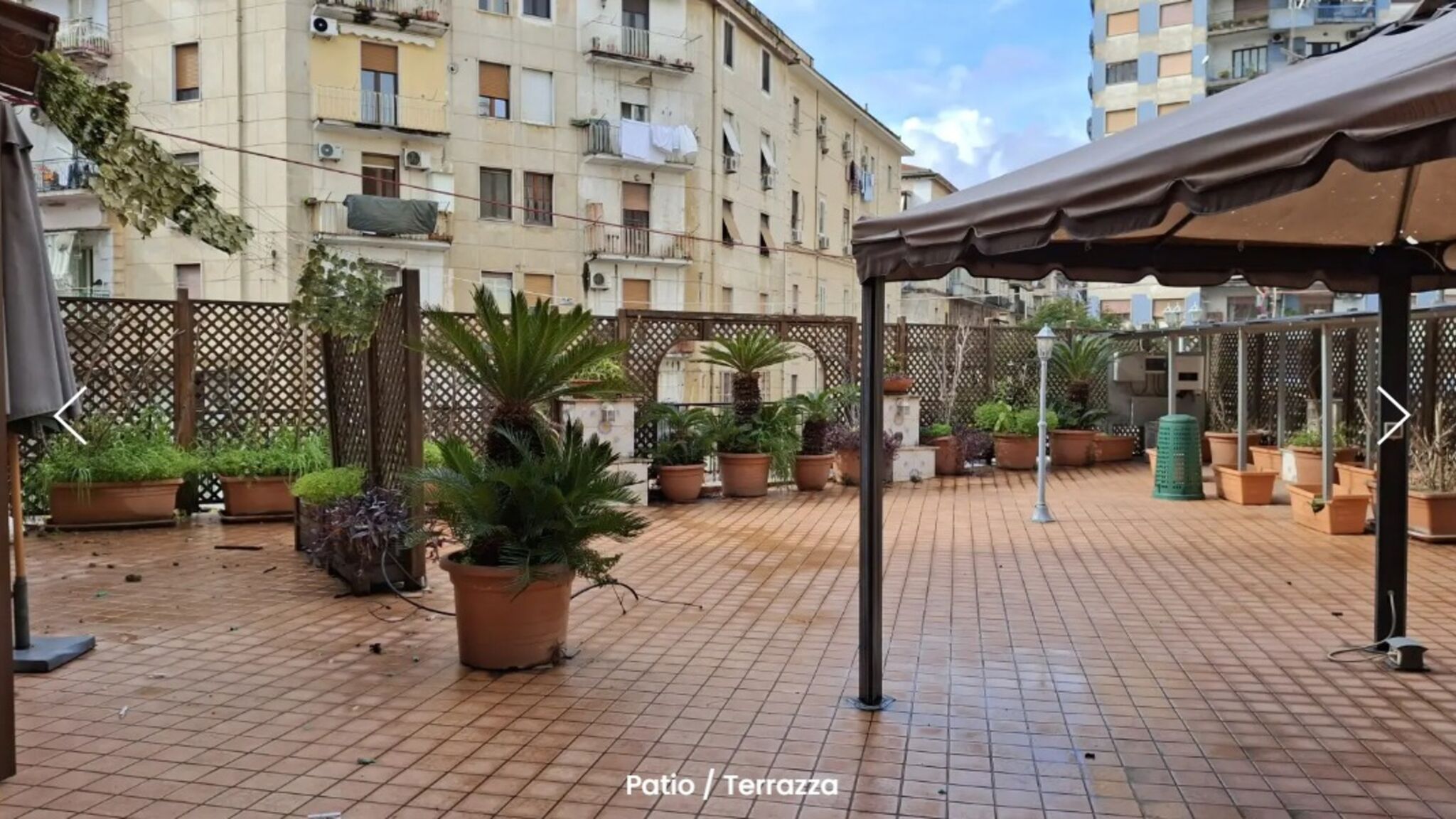 corso lucci 116