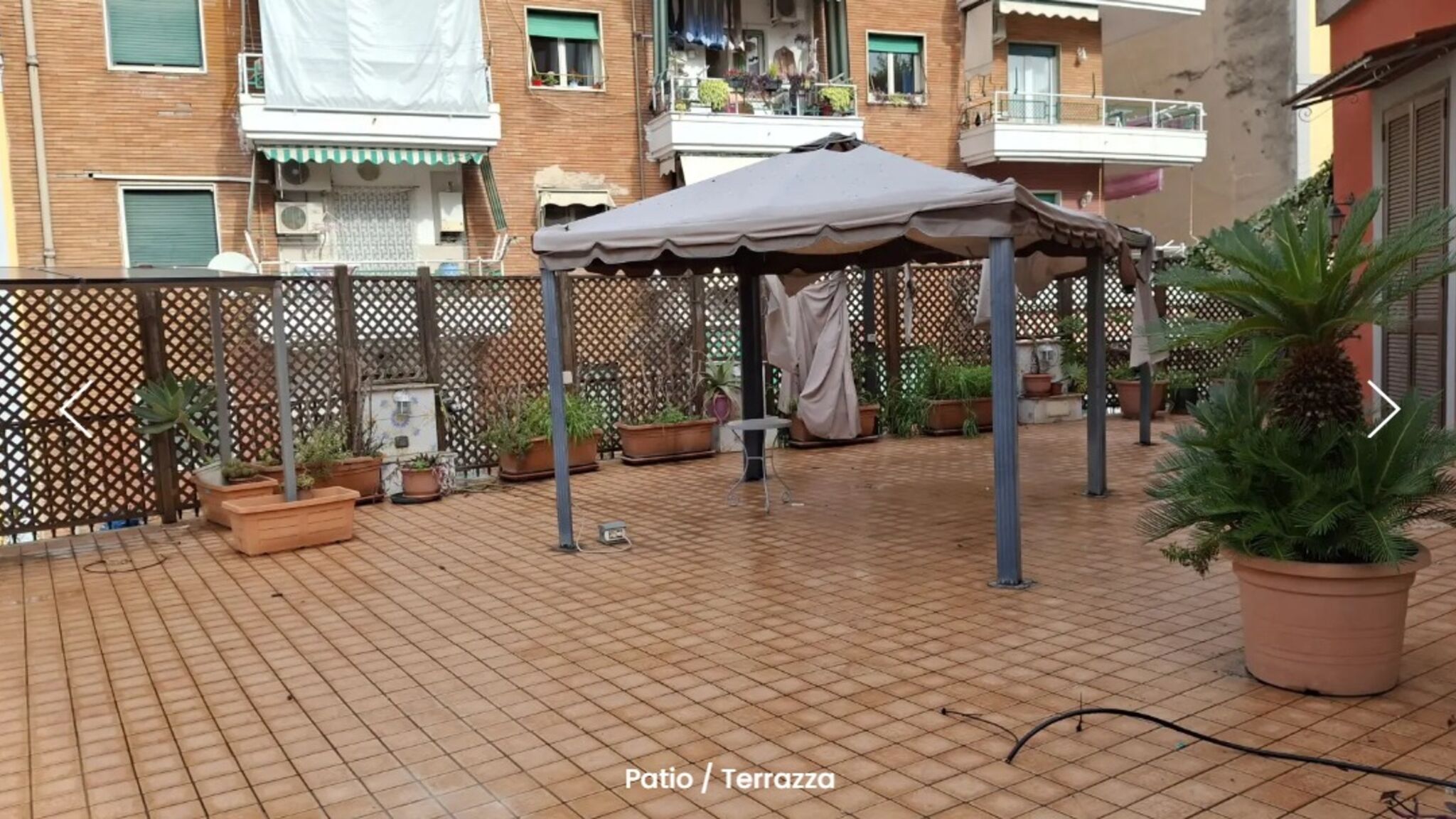 corso lucci 116
