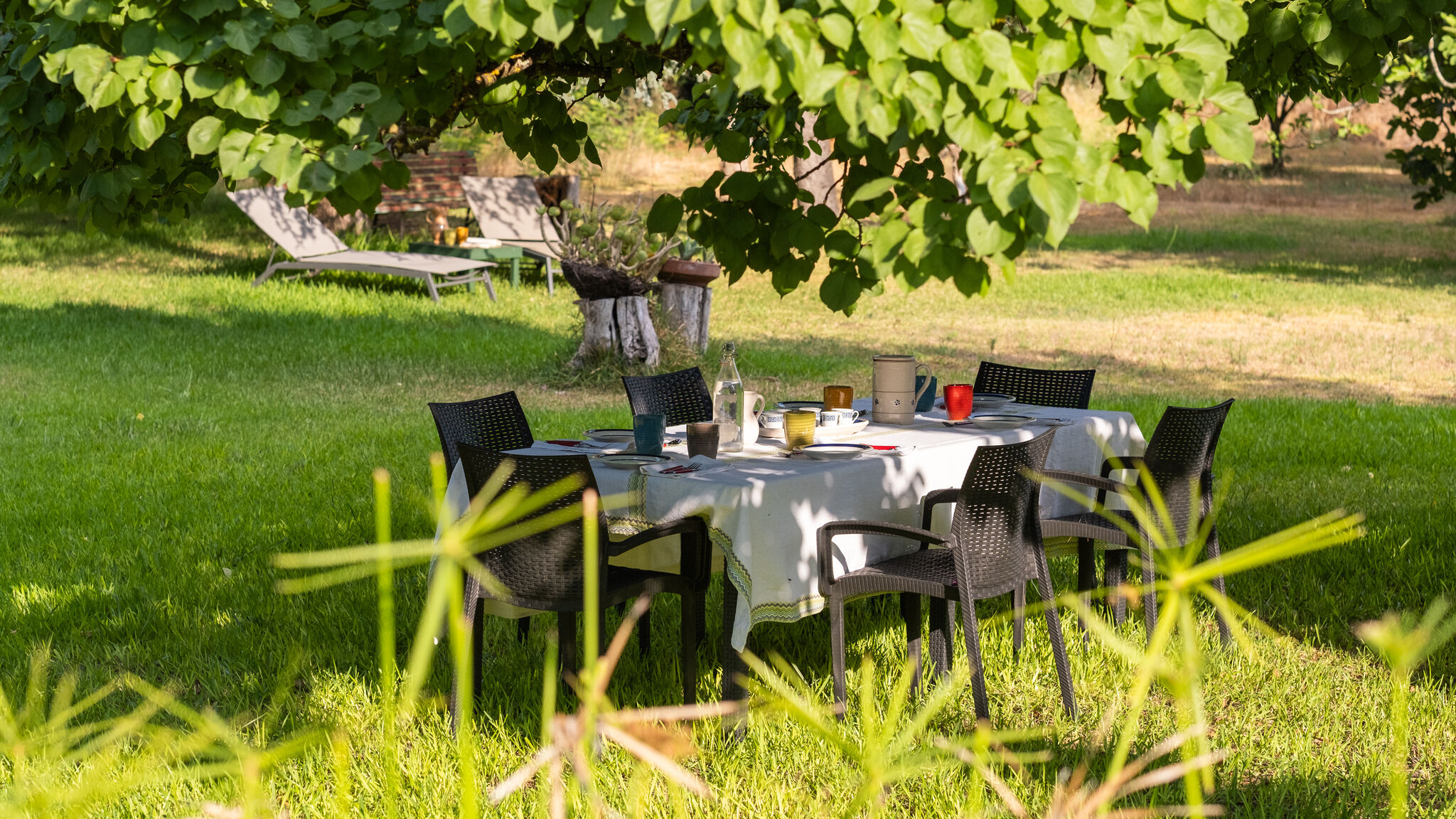 Italianway Cutrofiano Dimora Lustrelle con parco privato