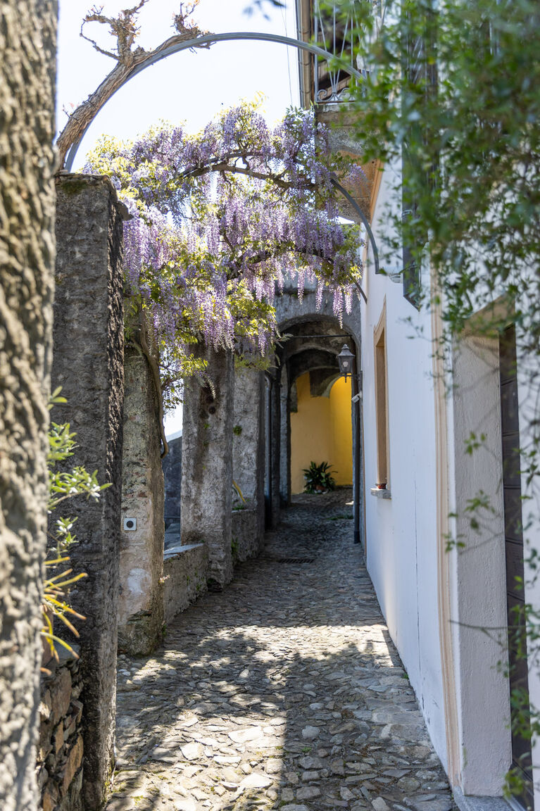 Lago Maggiore - Rentals & Estate Cannobio Antica Villa Branca by Lago Maggiore Rentals 
