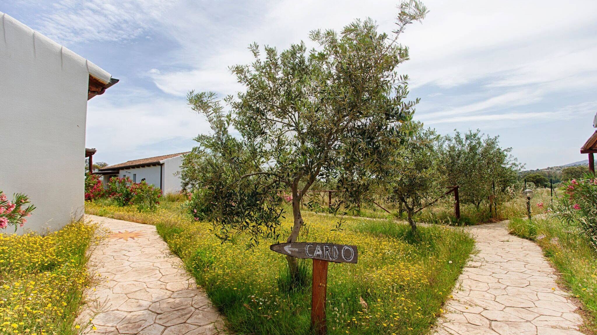 Italianway Olbia Welcomely MieleAmaro-Asfodelo