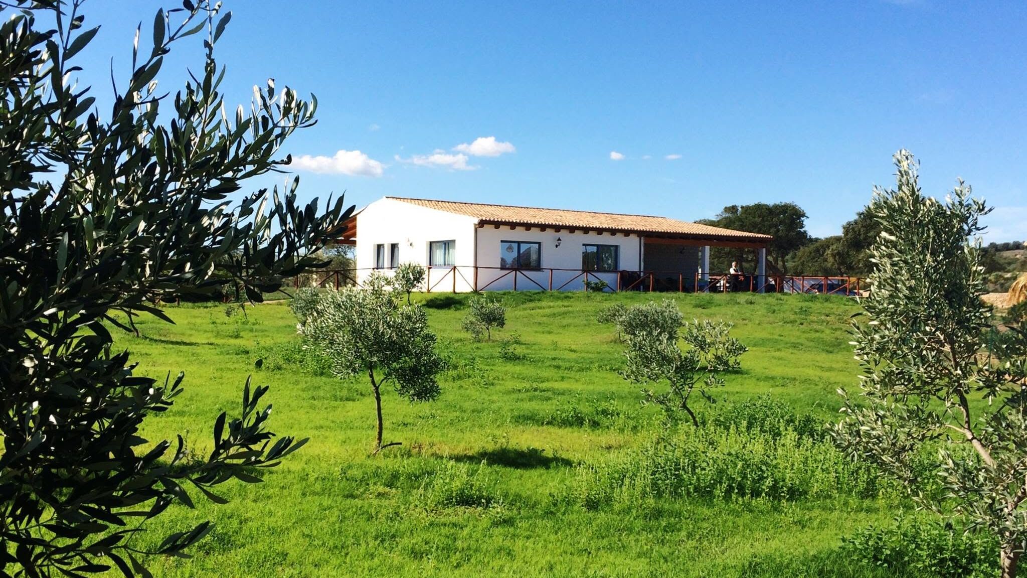 Italianway Olbia Welcomely MieleAmaro-Corbezzolo