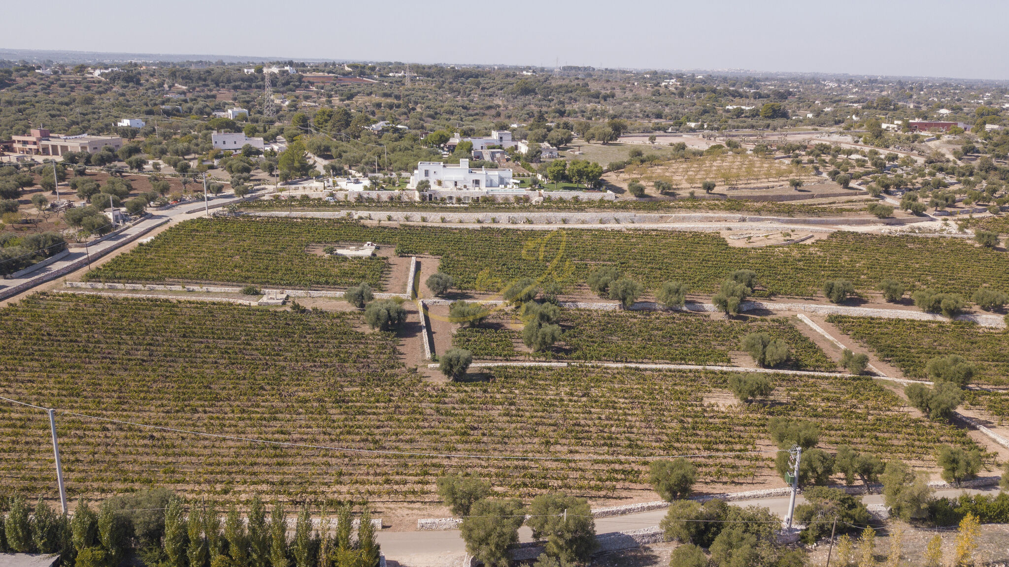 Trulli e Dimore Property Management Monopoli TD Tenuta Donna Madia Sea View Pool Over Vineyard