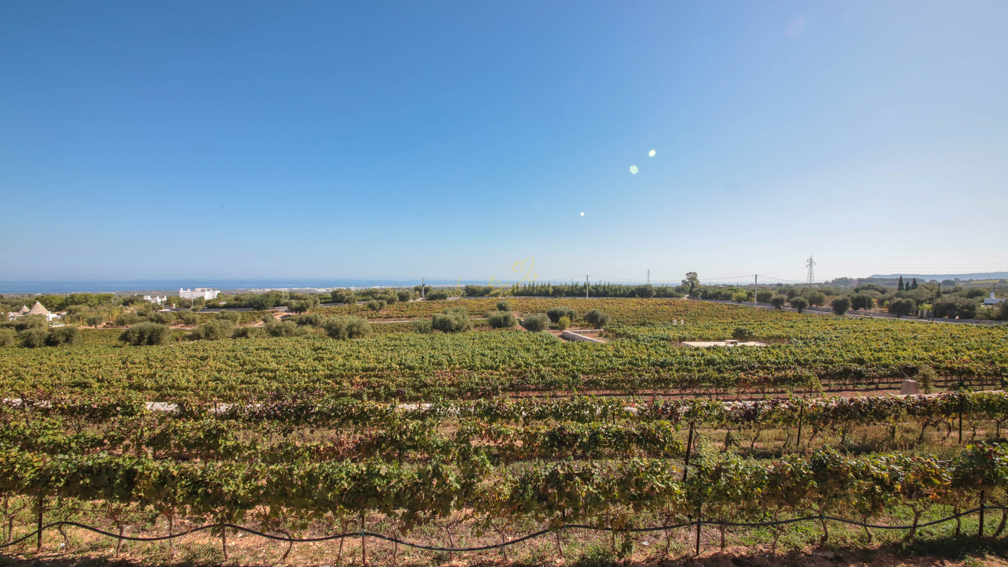 Trulli e Dimore Property Management Monopoli TD Tenuta Donna Madia Sea View Pool Over Vineyard