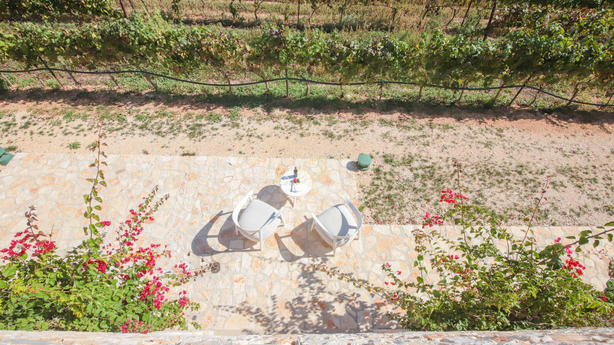 Trulli e Dimore Property Management Monopoli TD Tenuta Donna Madia Sea View Pool Over Vineyard
