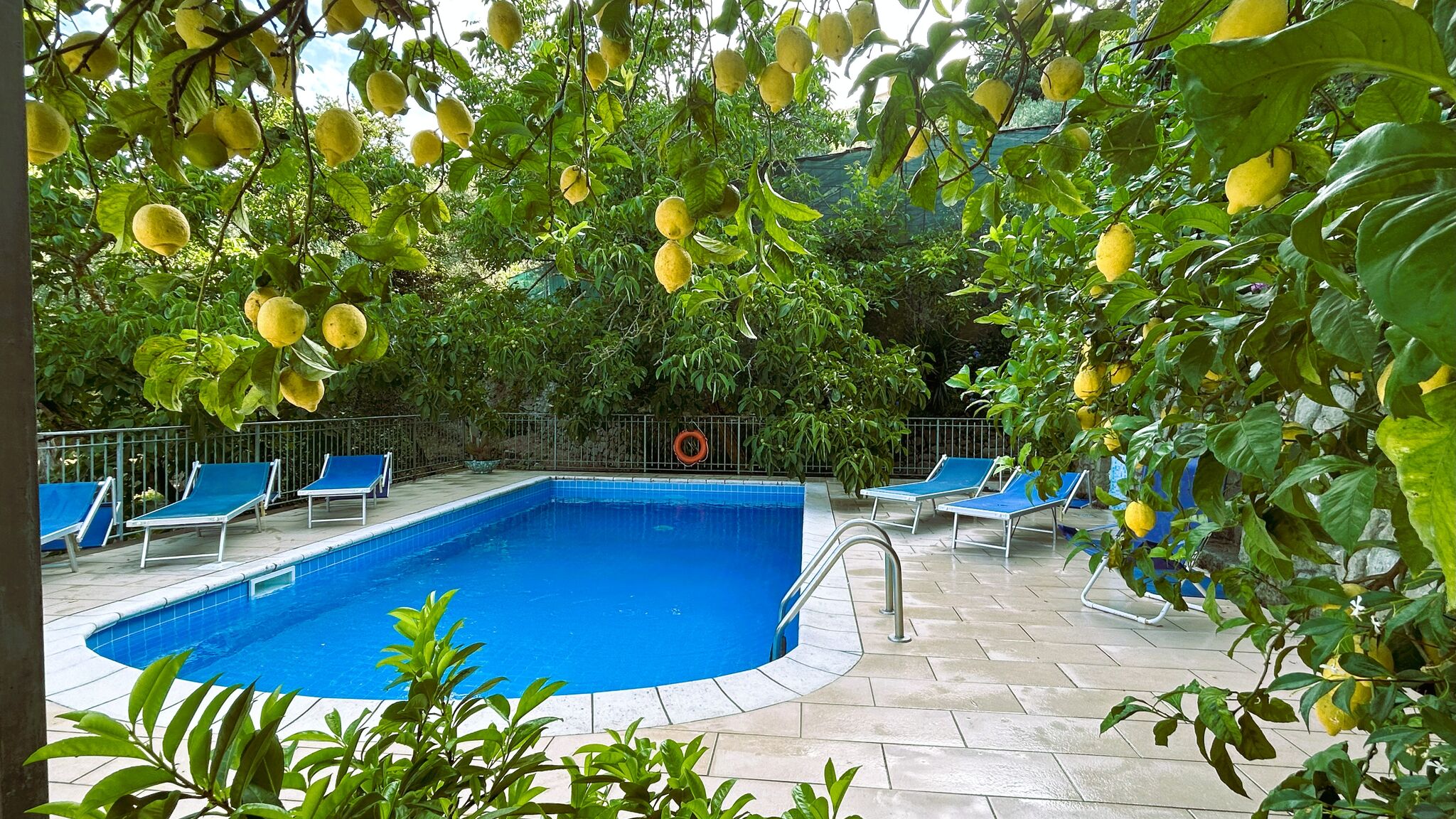 Italianway Massa Lubrense Limoneto - Giardino