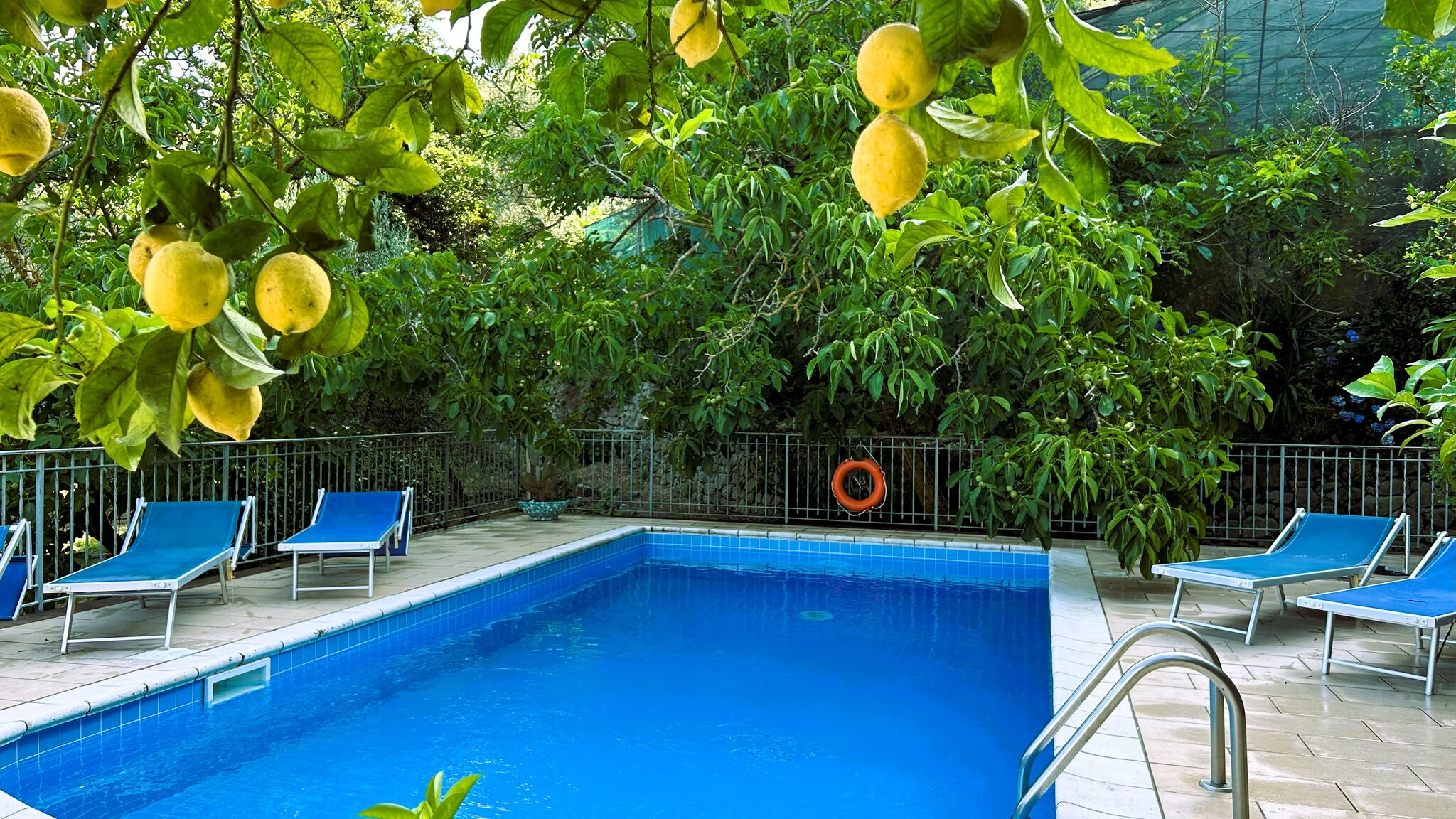 Italianway Massa Lubrense Limoneto - Giardino