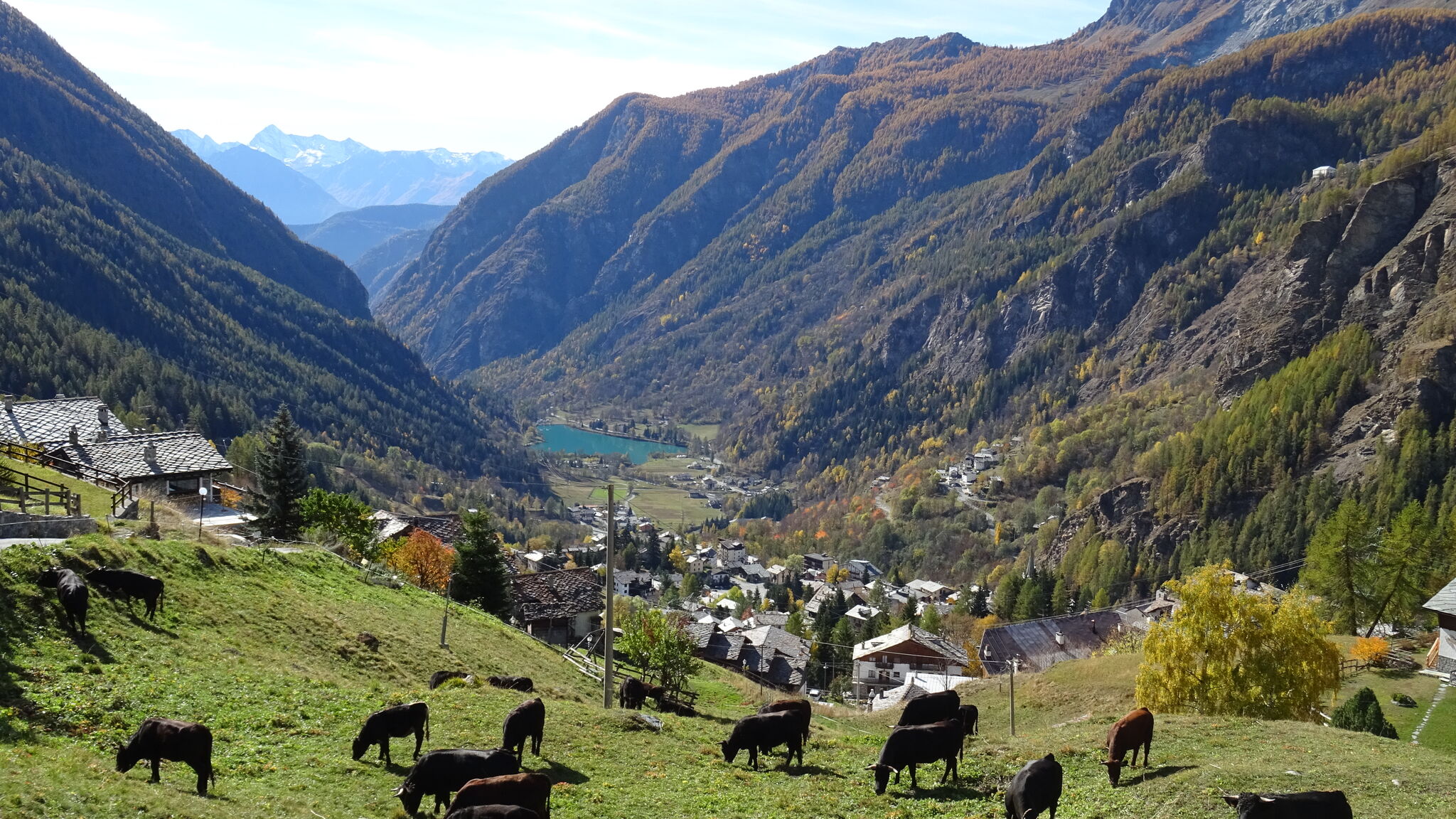 Italianway Valtournenche Petit Reins - Alpine Lodge close to Ski Return