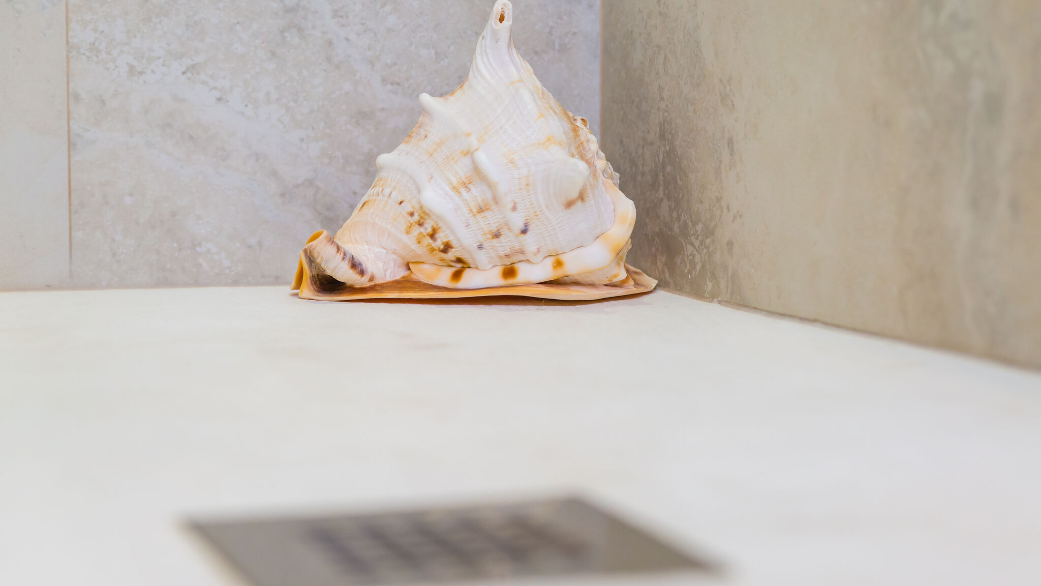 Italianway Napoli De Sangro Suite by NapoliApartments