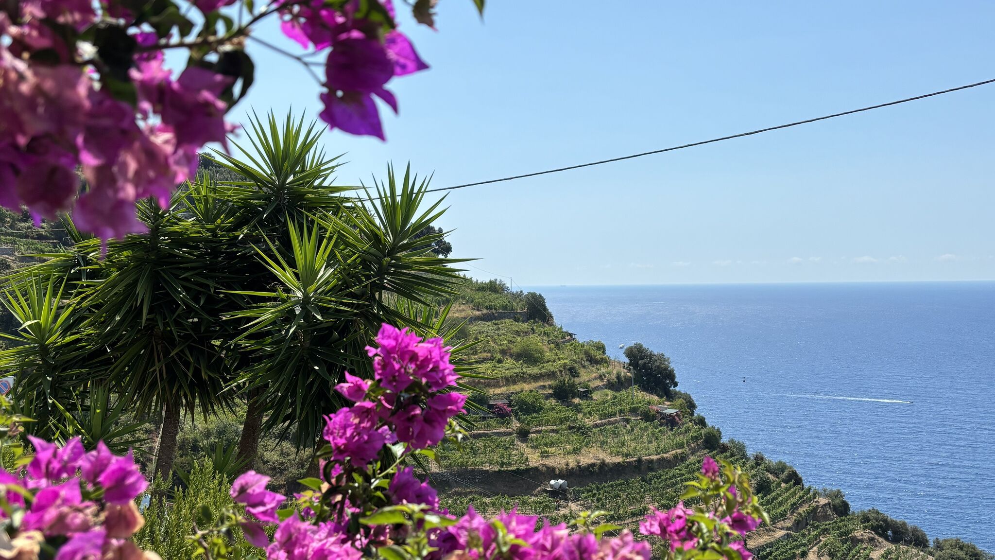 Italianway Monterosso al Mare Villa Serra - amazing sea view, AC and parking