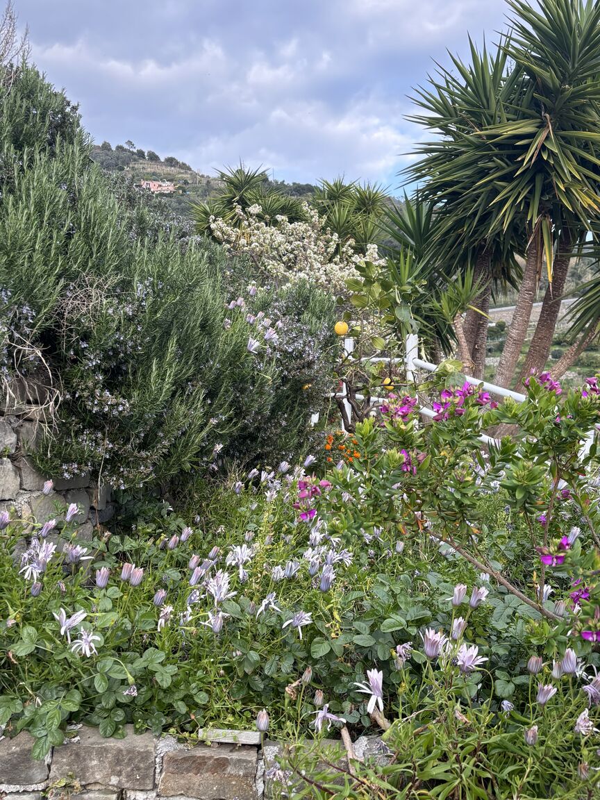 Italianway Monterosso al Mare Villa Serra - amazing sea view, AC and parking