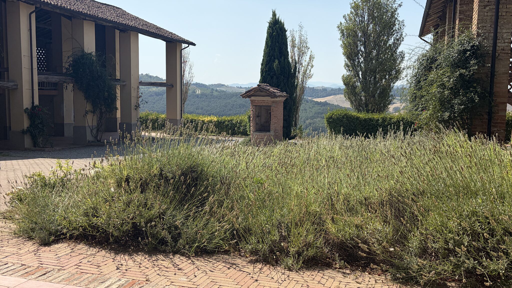 Italianway Oliva Gessi Green Retreat 