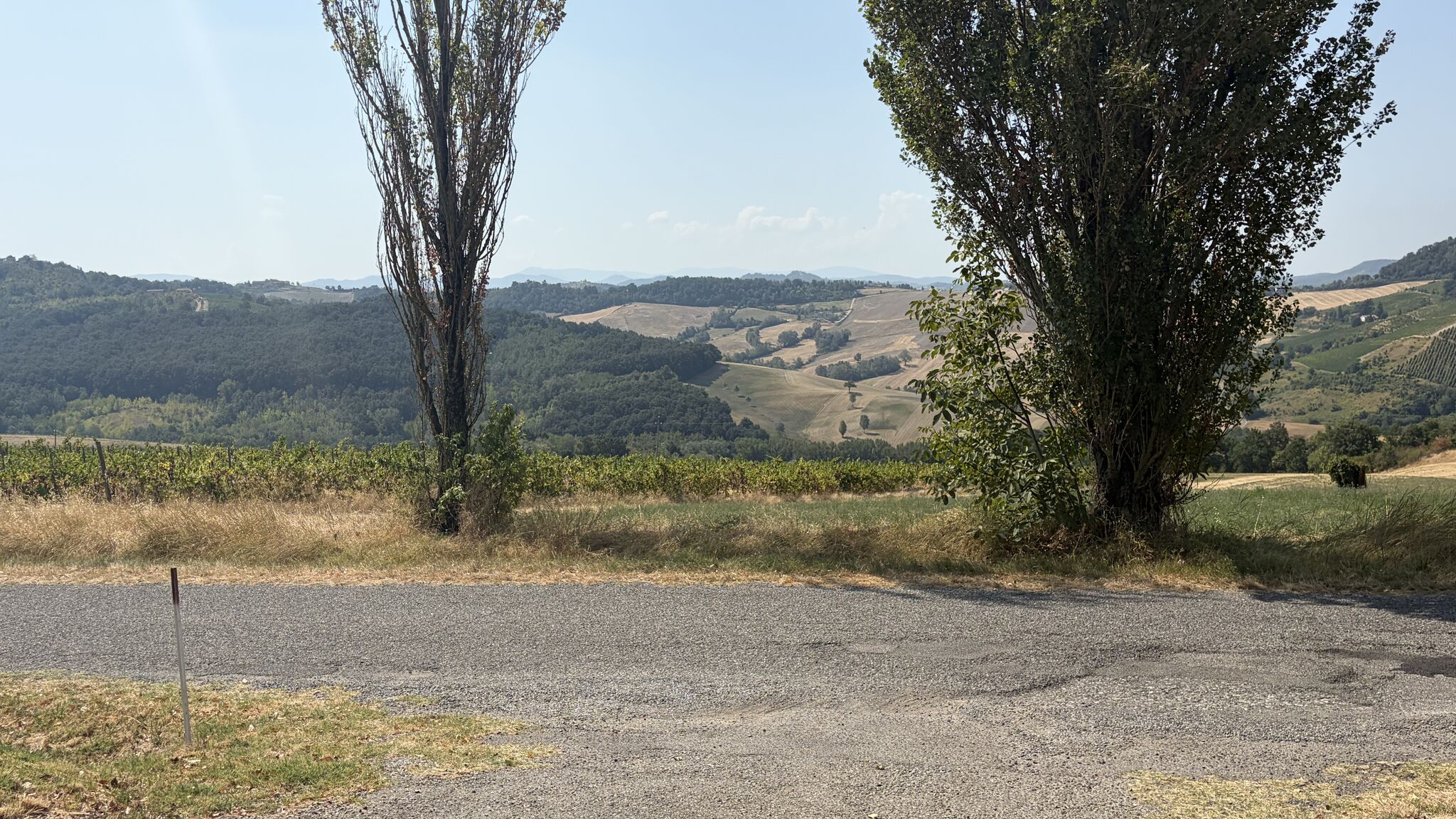 Italianway Oliva Gessi Green Retreat 