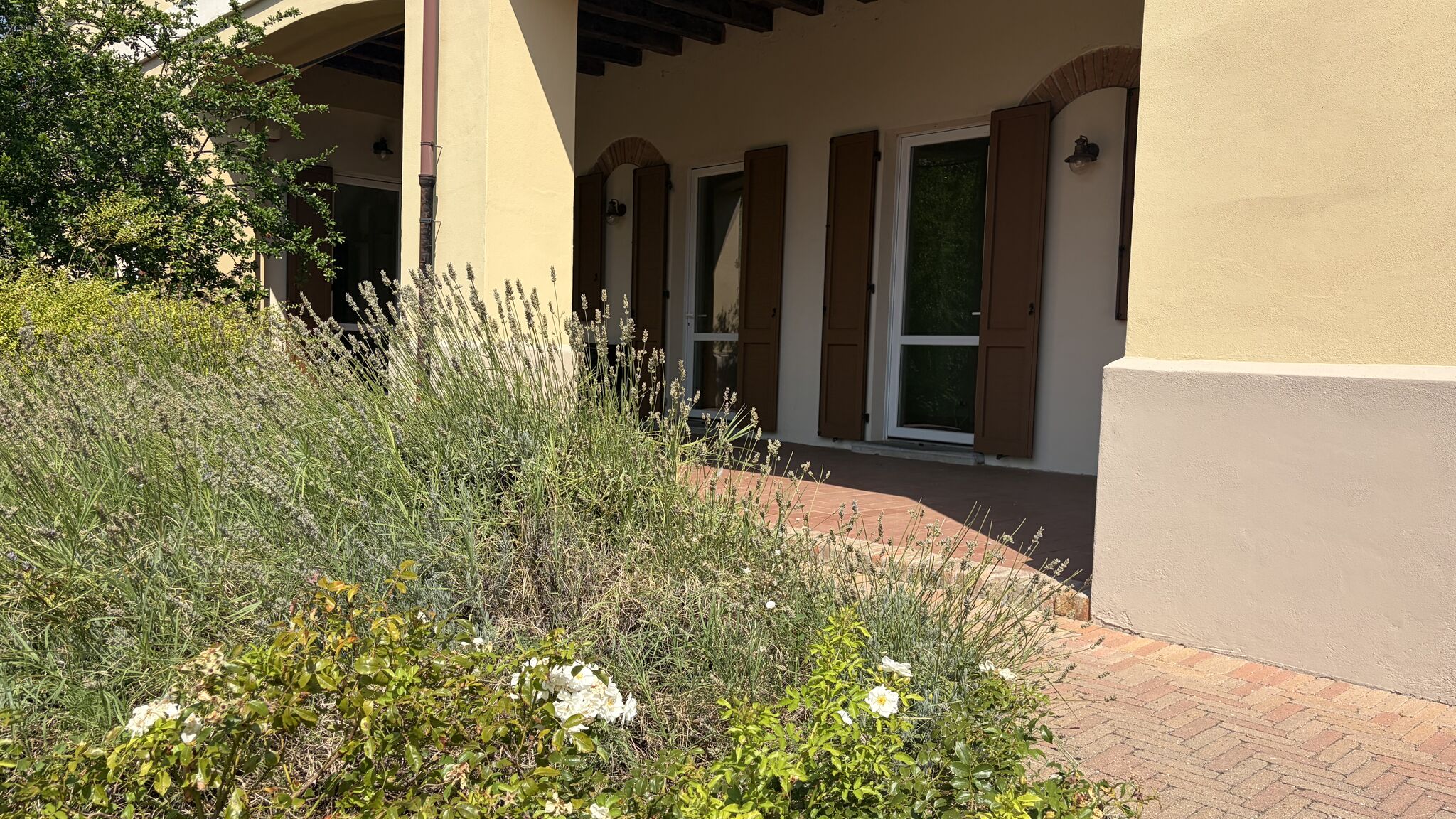 Italianway Oliva Gessi Green Retreat 