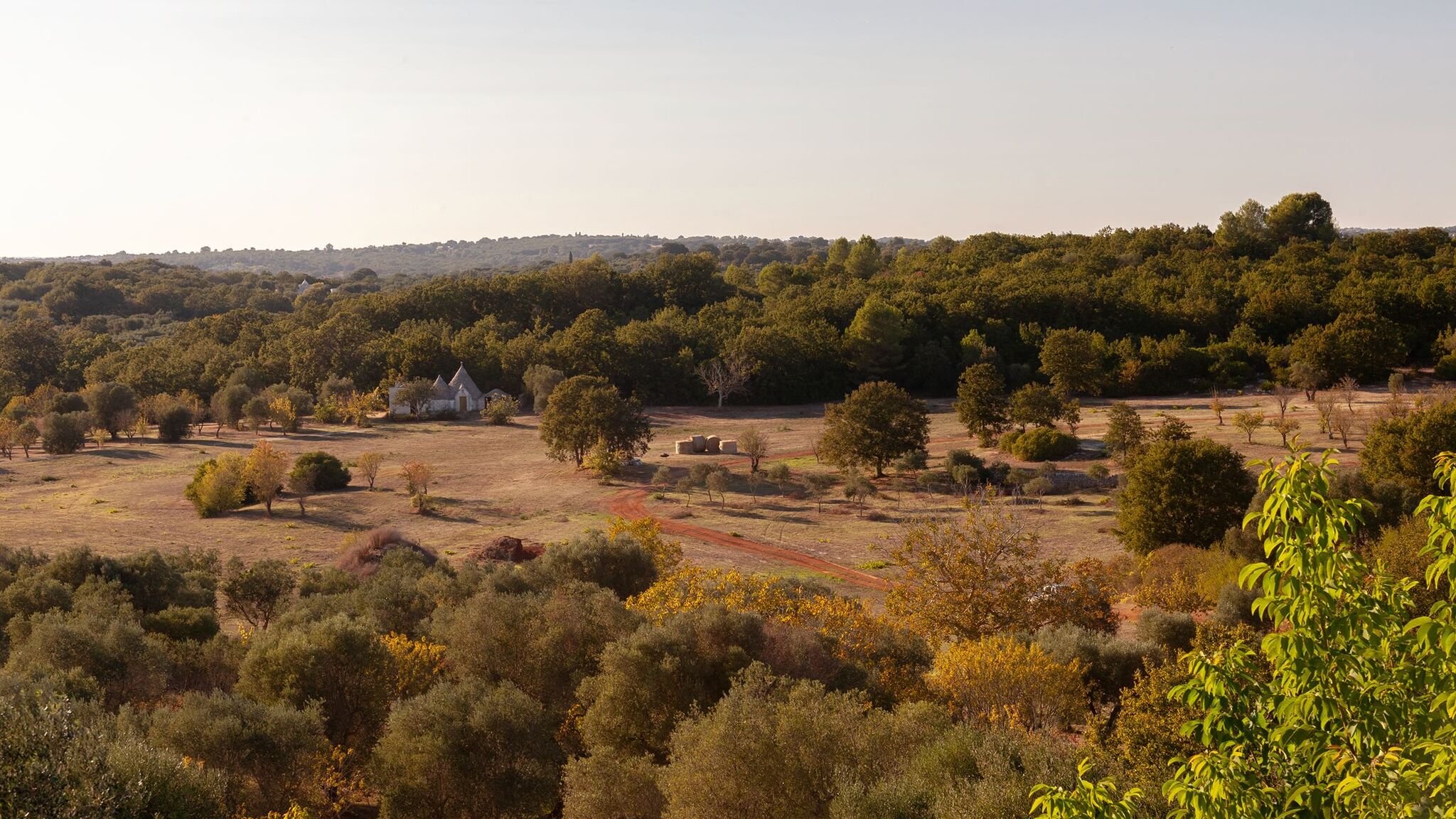 Italianway Ceglie Messapica Trullo Libeccio by Elite Villas