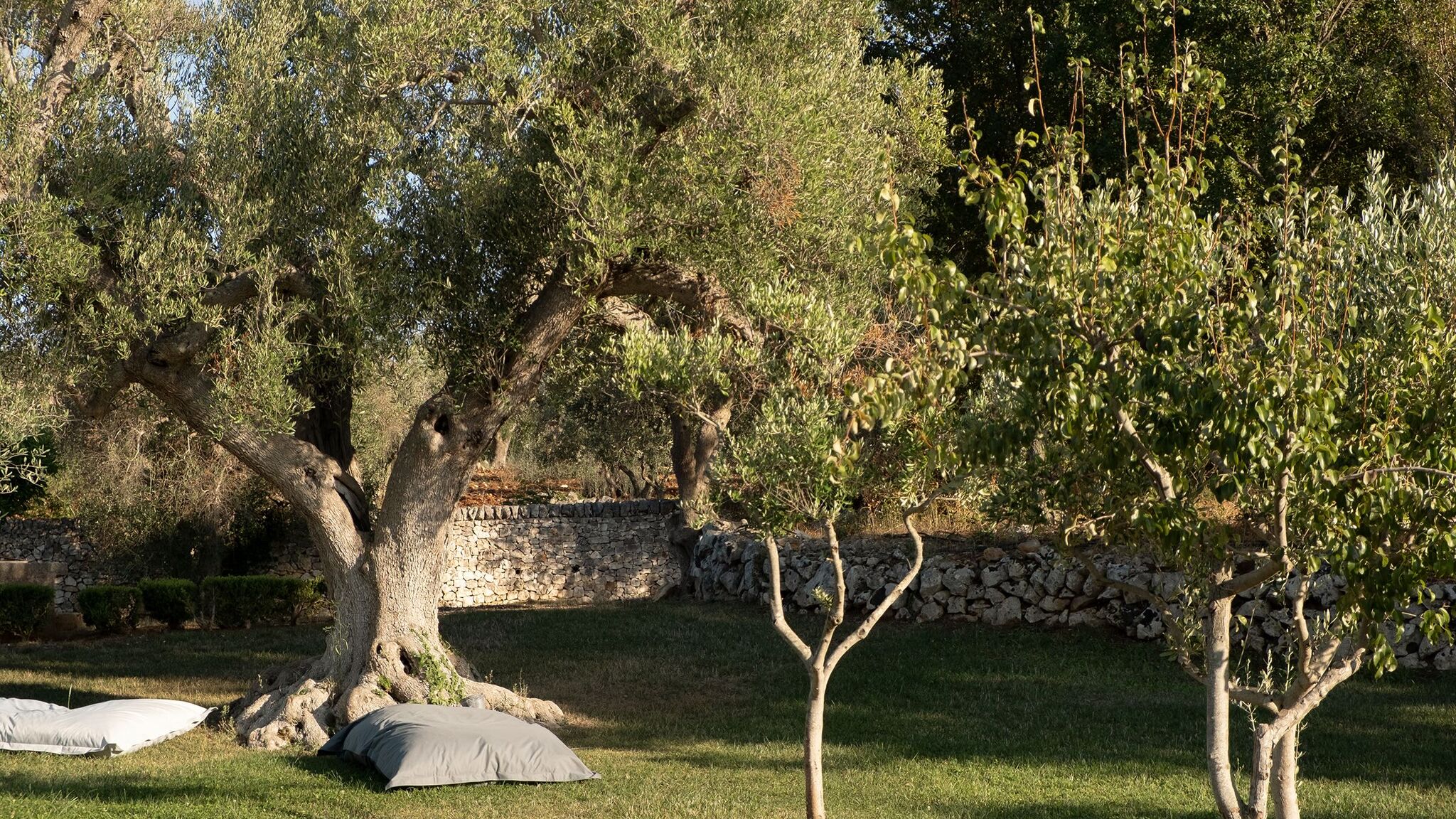 Italianway Ceglie Messapica Trullo Libeccio by Elite Villas