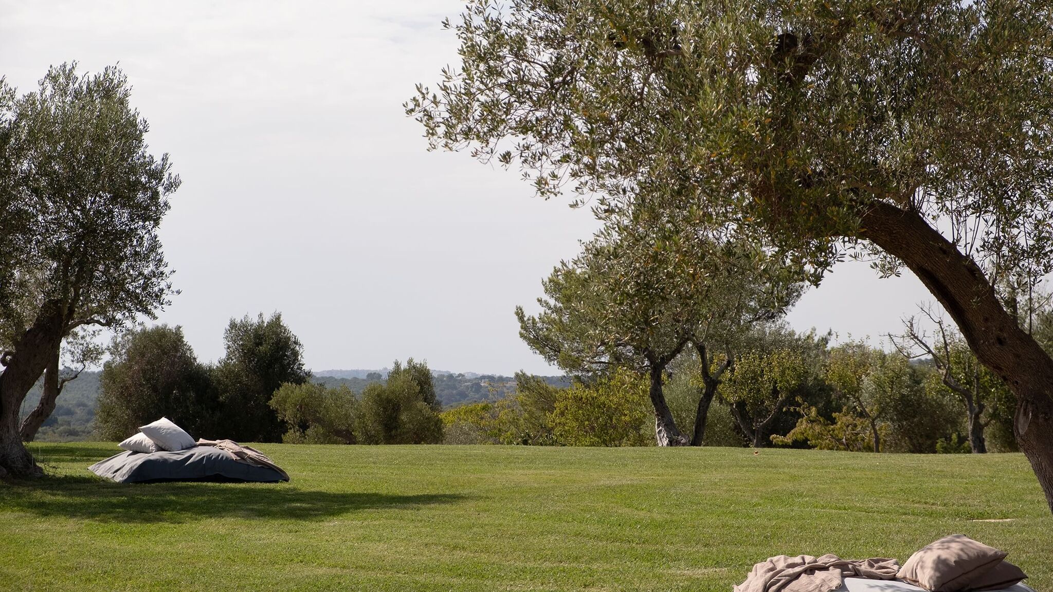 Italianway Ceglie Messapica Trullo Alloro by Elite Villas
